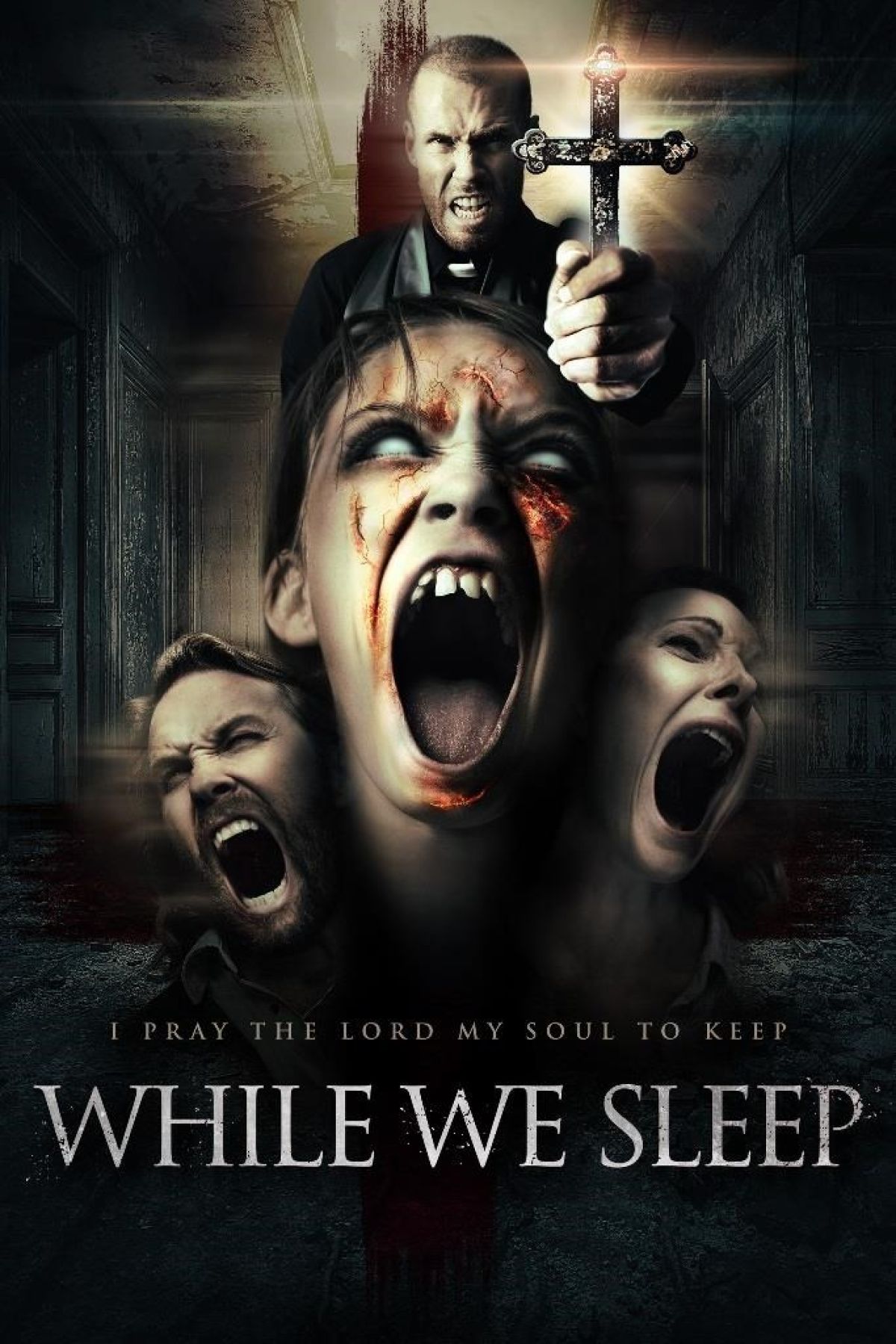 Afbeelding van While We Sleep