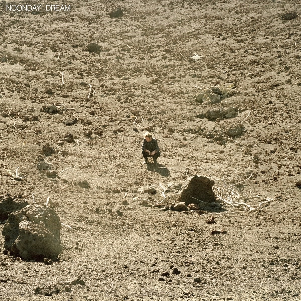 Afbeelding van Ben Howard - Noonday Dream