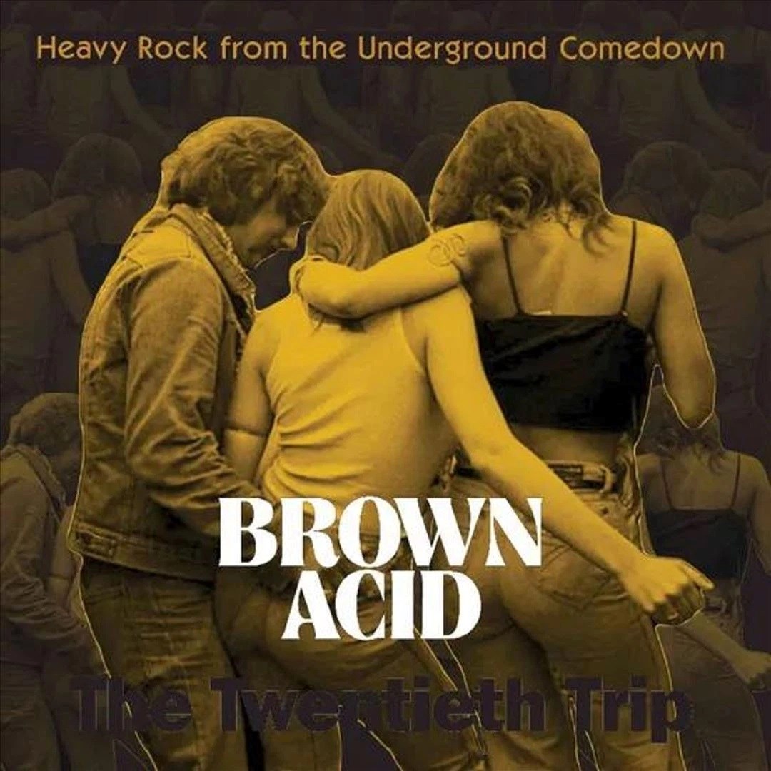 Afbeelding van Various Artists - Brown Acid: The Twentieth Trip