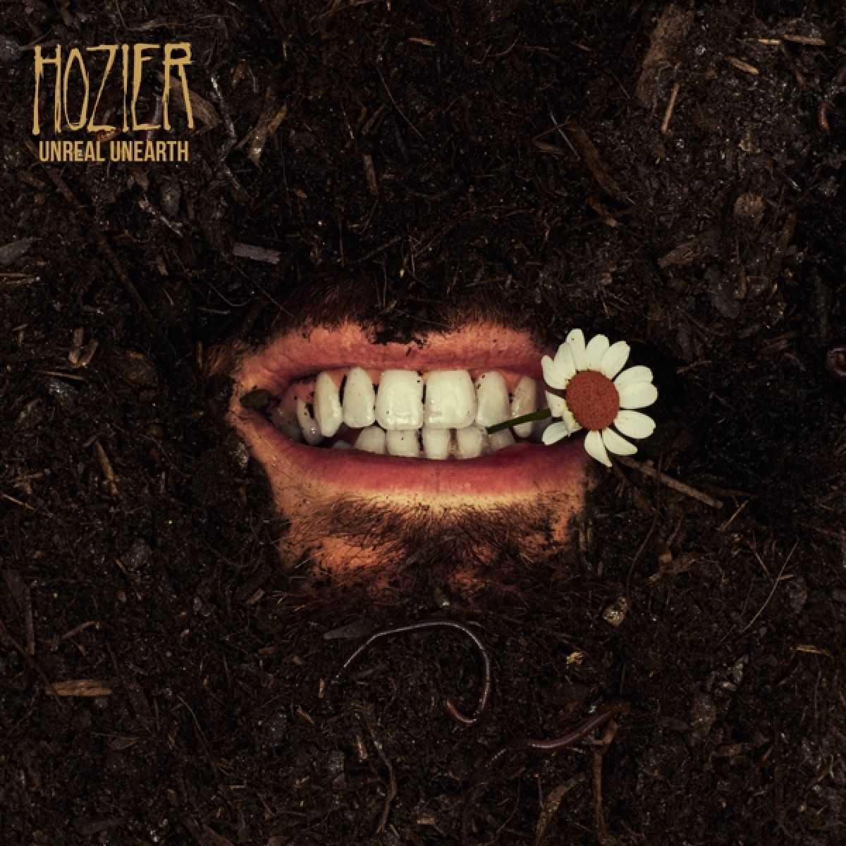 Afbeelding van Hozier - Unreal Unearth