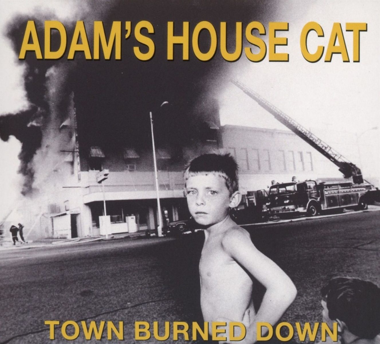 Afbeelding van Adams House Cat - World Burned Down