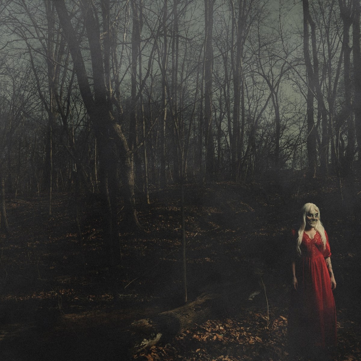 Afbeelding van 156 & Silence - From A Distance