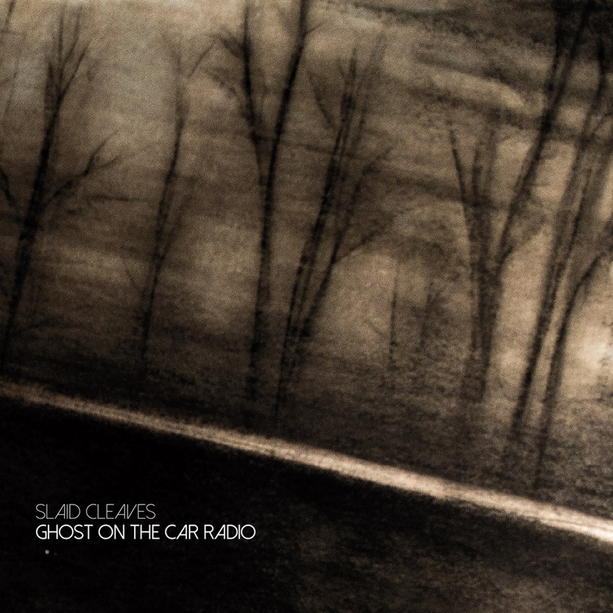 Afbeelding van Slaid Cleaves - Ghost On The Car Radio