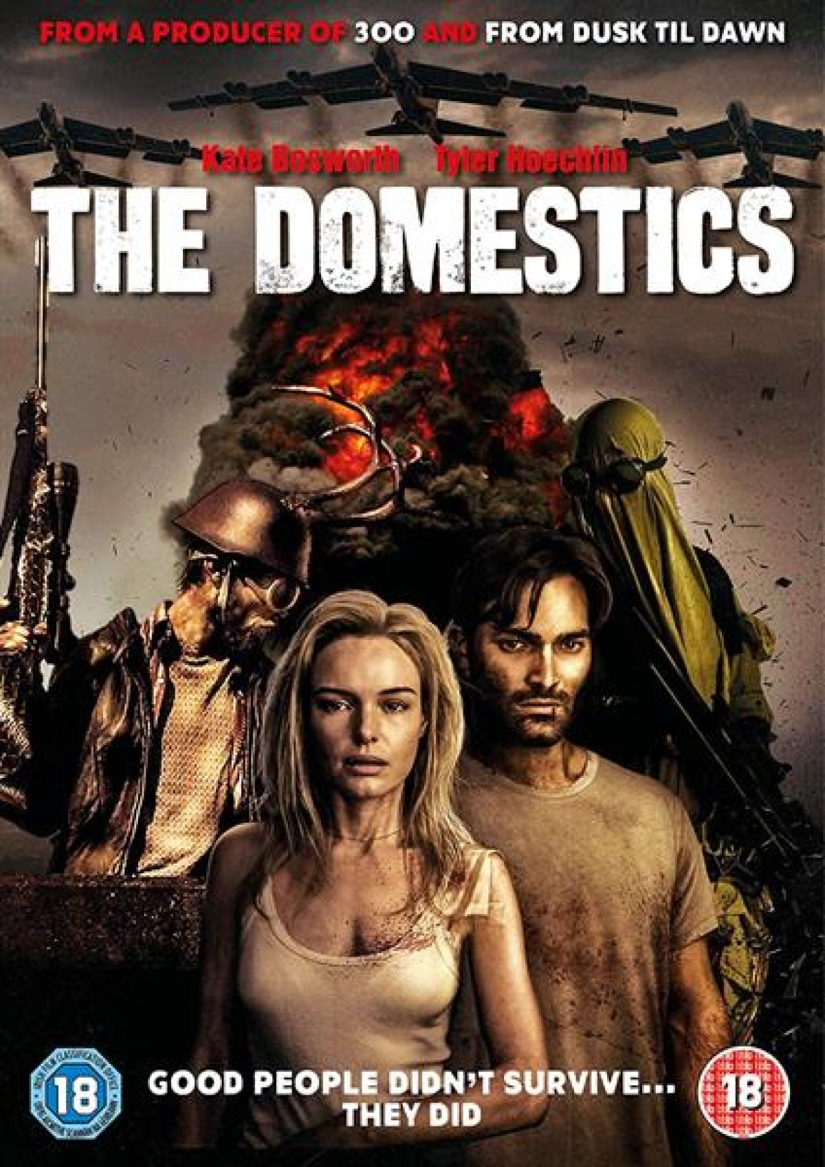 Afbeelding van Domestics