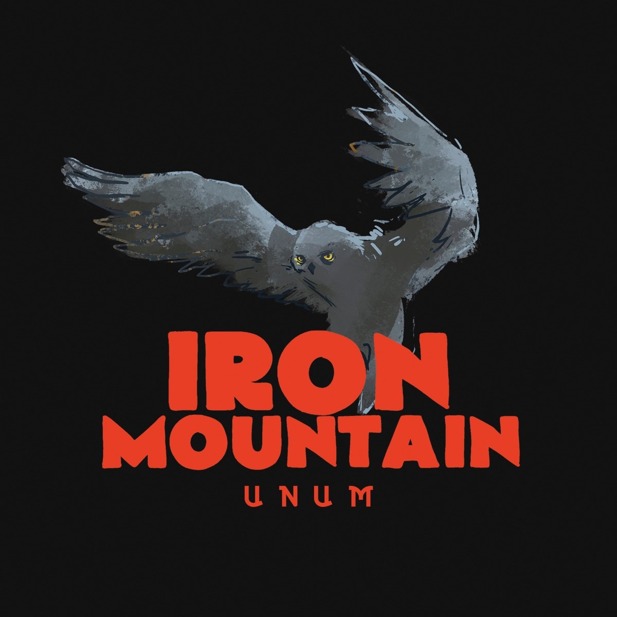 Afbeelding van Iron Mountain - Unum