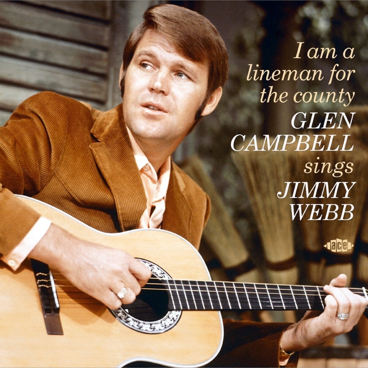 Afbeelding van Glen Campbell - I Am A Lineman For The County