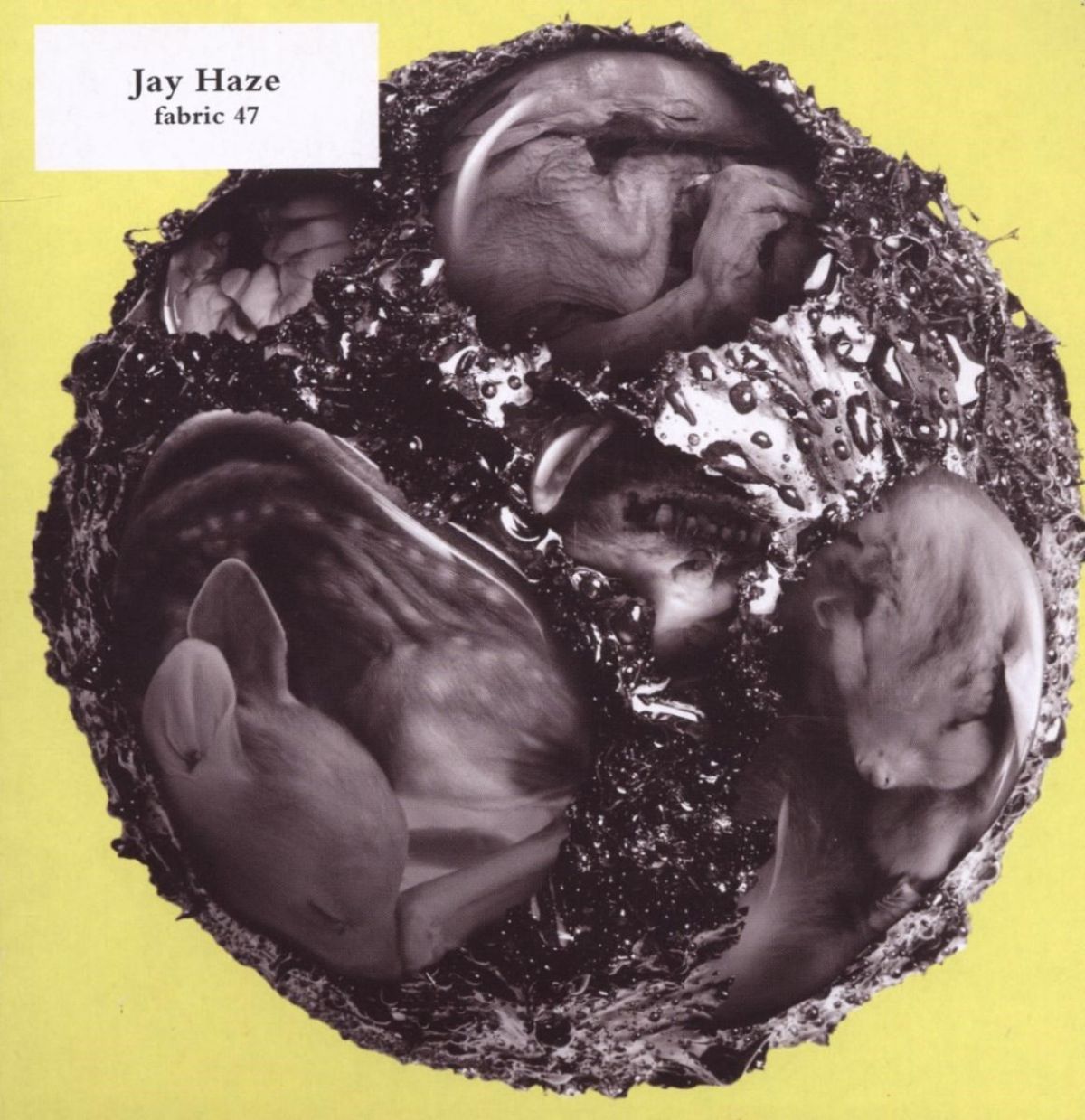 Afbeelding van Jay Haze - Fabric 47
