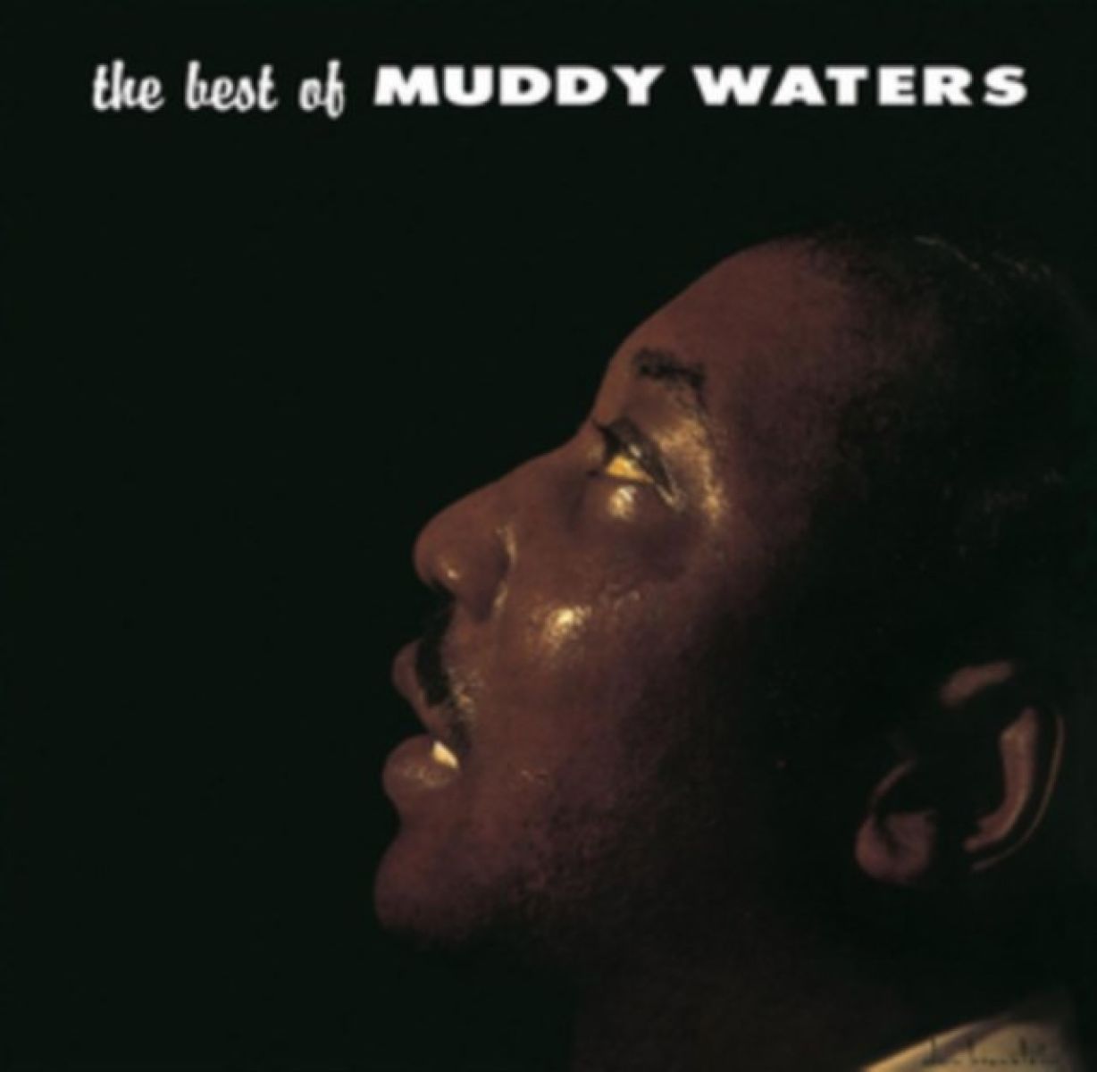 Afbeelding van Muddy Waters - The Best Of Muddy Waters