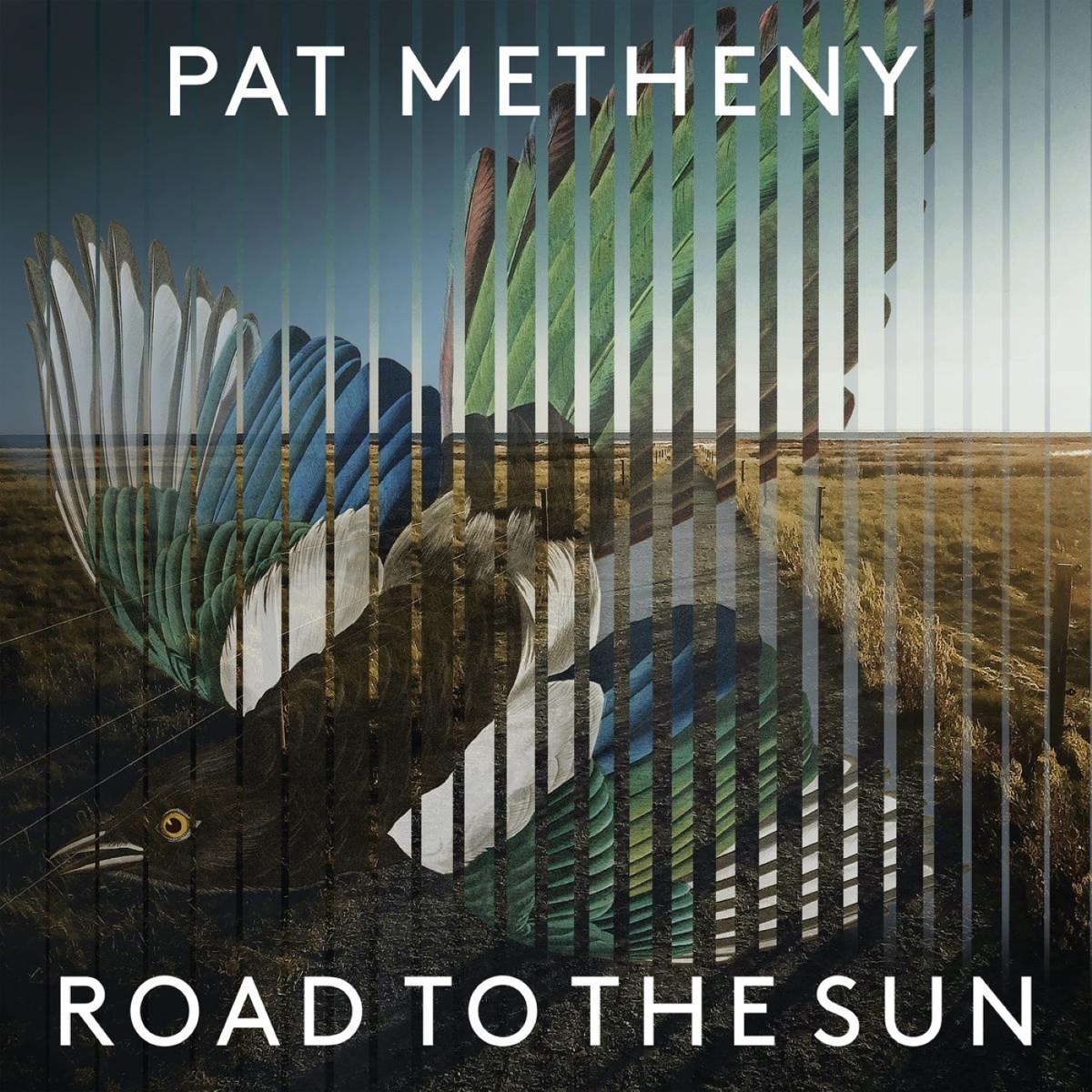 Afbeelding van Pat Metheny - Road To The Sun