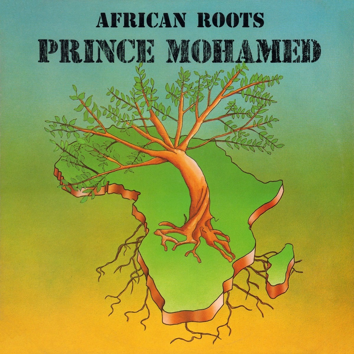Afbeelding van Prince Mohamed - African Roots