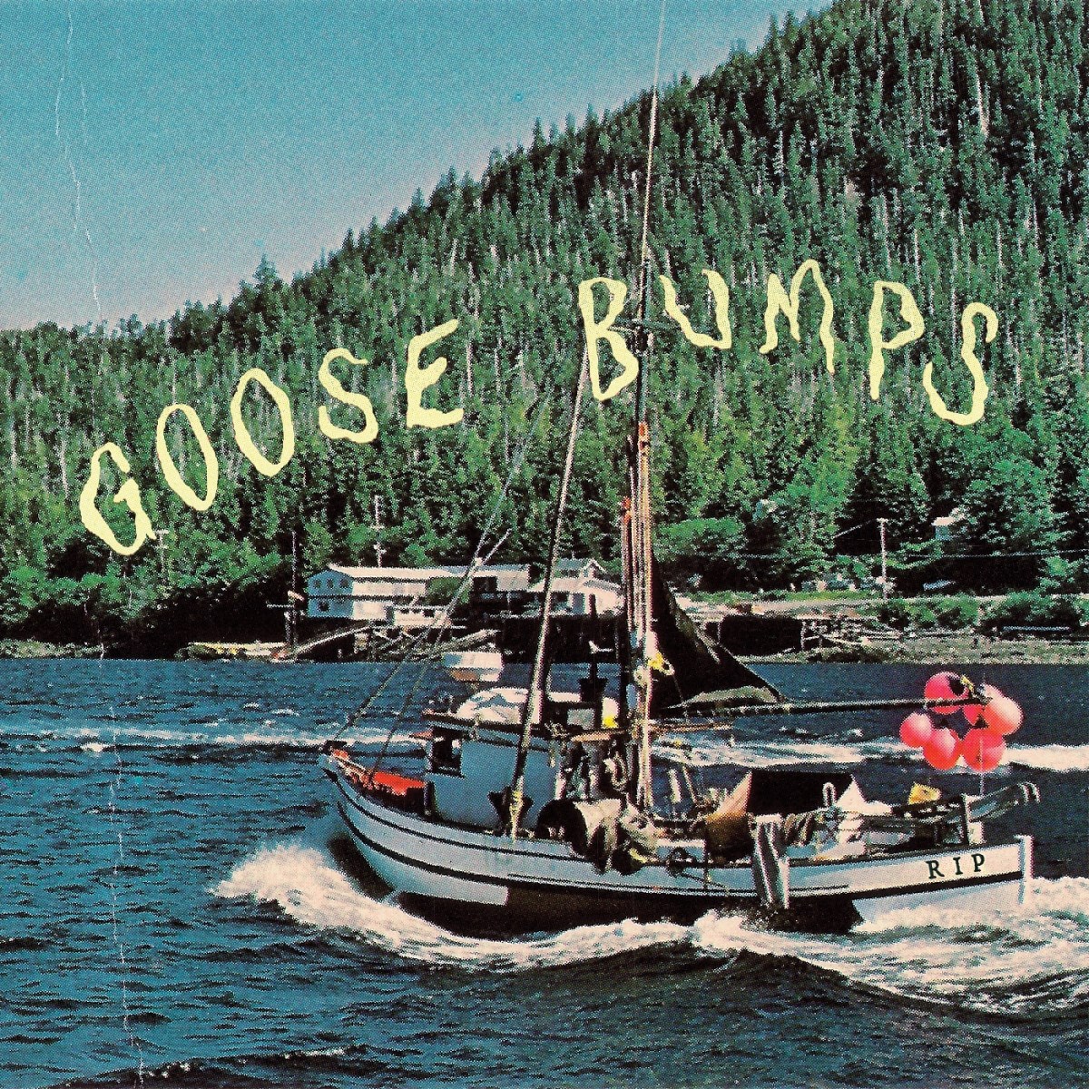 Afbeelding van Boyscott - Goose Bumps