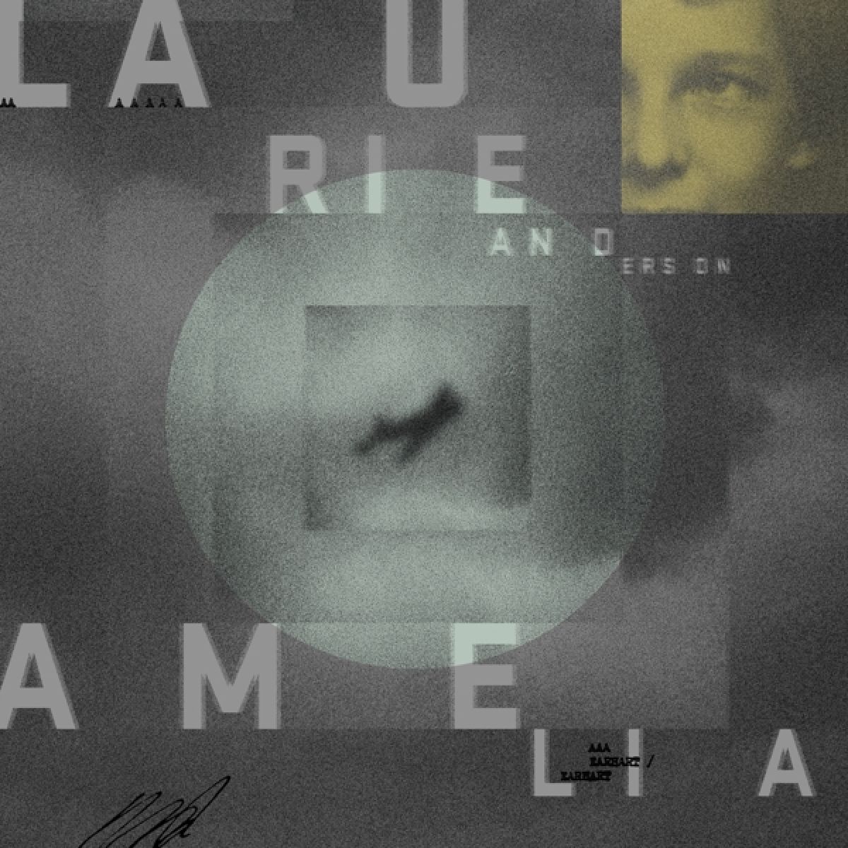 Afbeelding van Laurie Anderson - Amelia