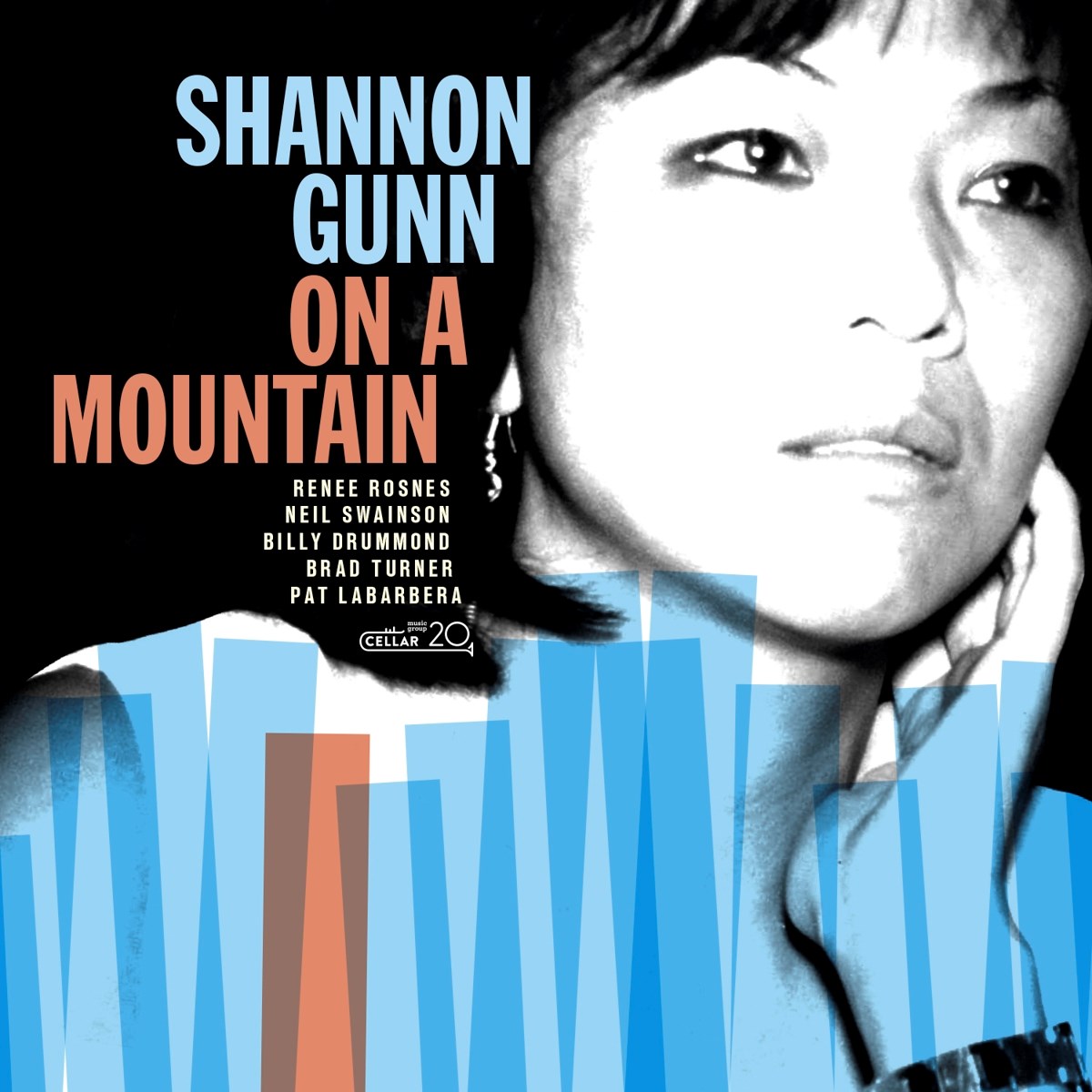 Afbeelding van Shannon Gunn - On A Mountain