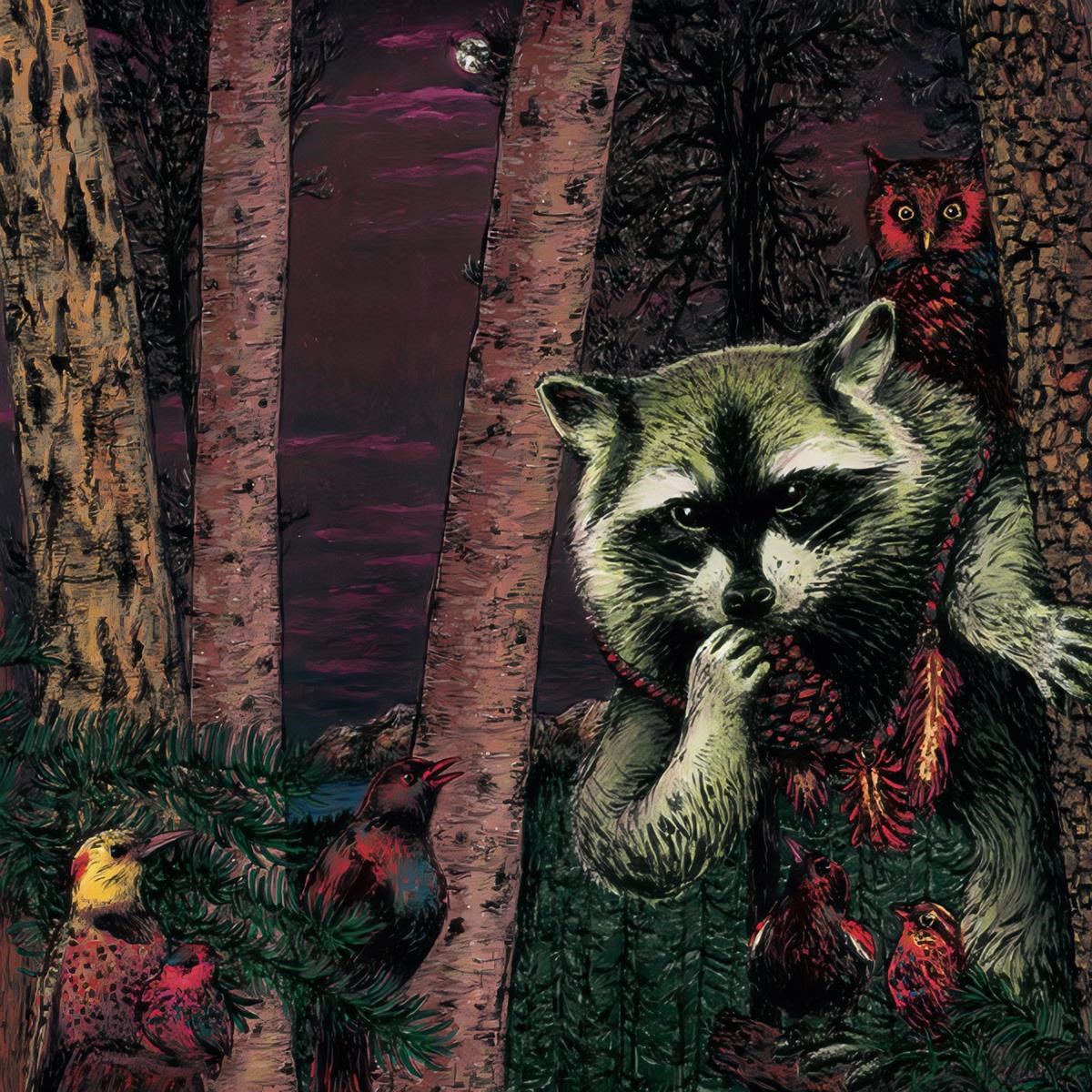 Afbeelding van Wild Raccoon - Half Pine Cone