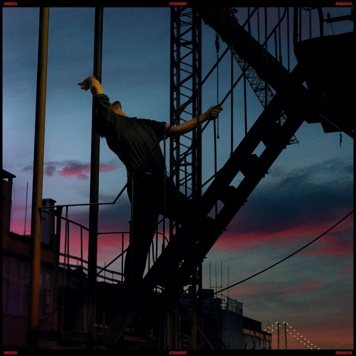 Afbeelding van Andrea Bignasca - Stranger
