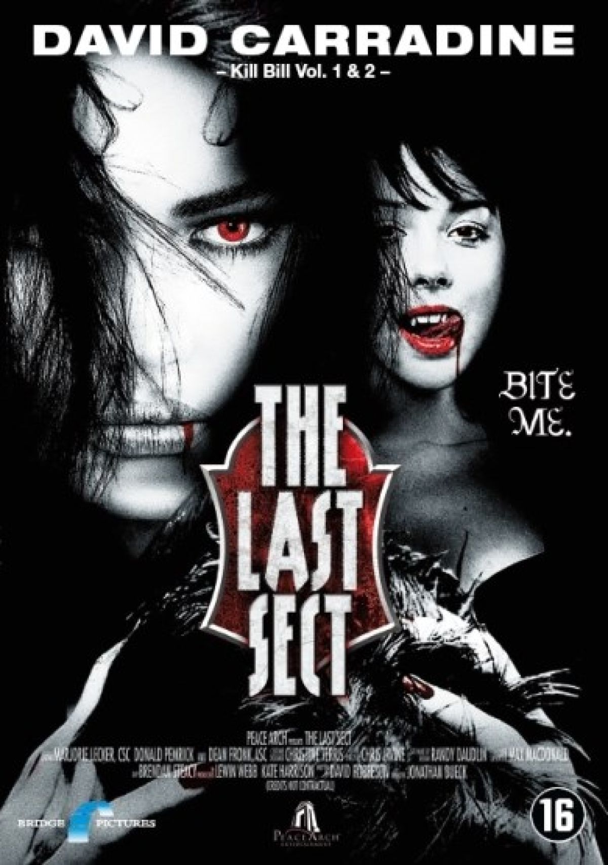 Afbeelding van Last sect