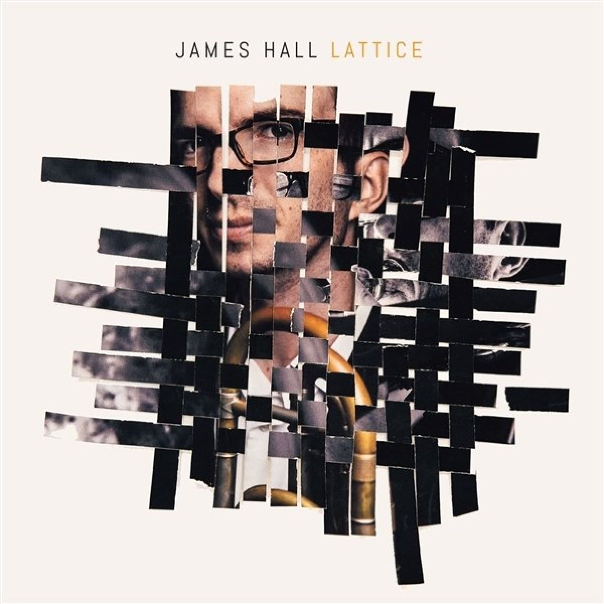 Afbeelding van James Hall - Lattice