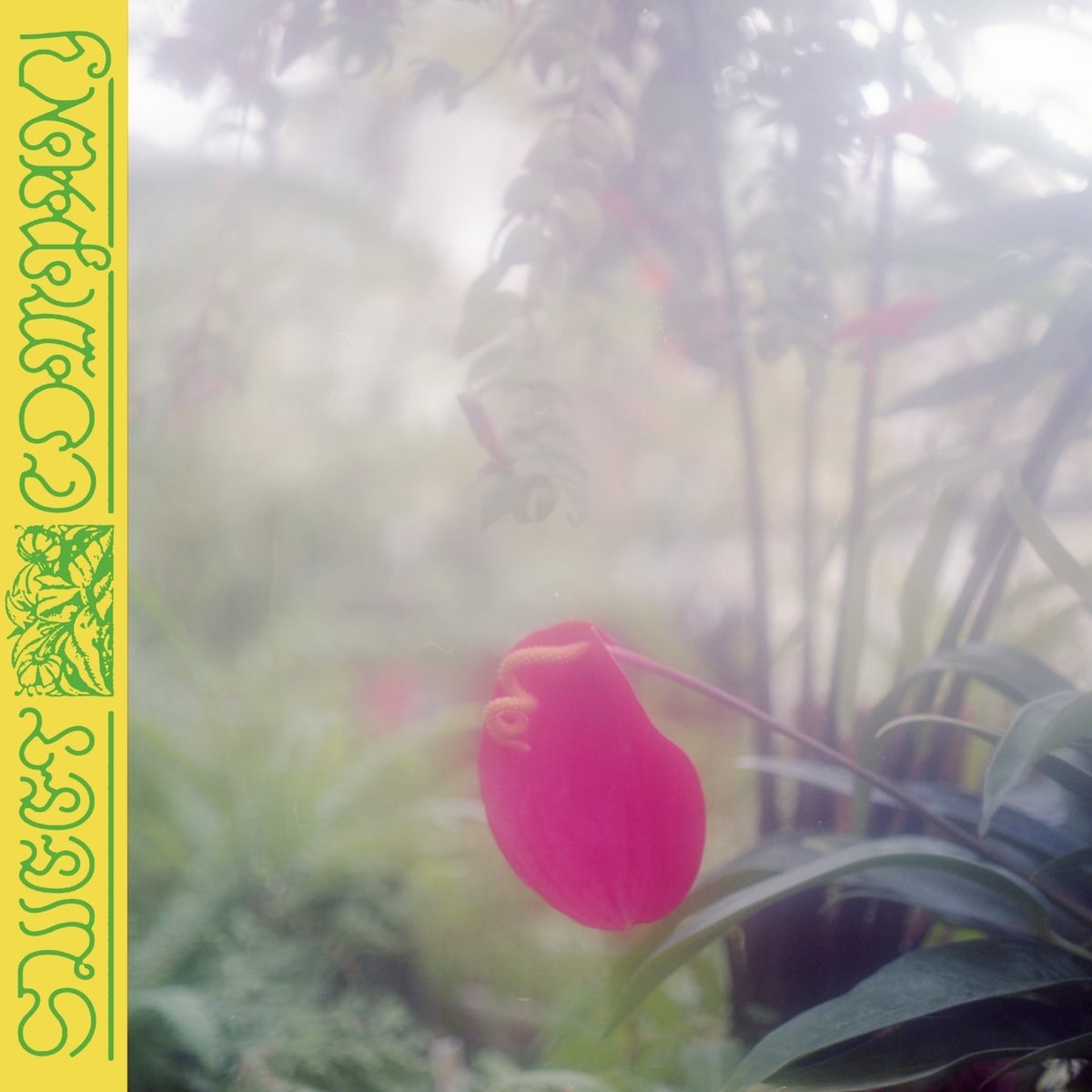 Afbeelding van Jabu - Sweet Company