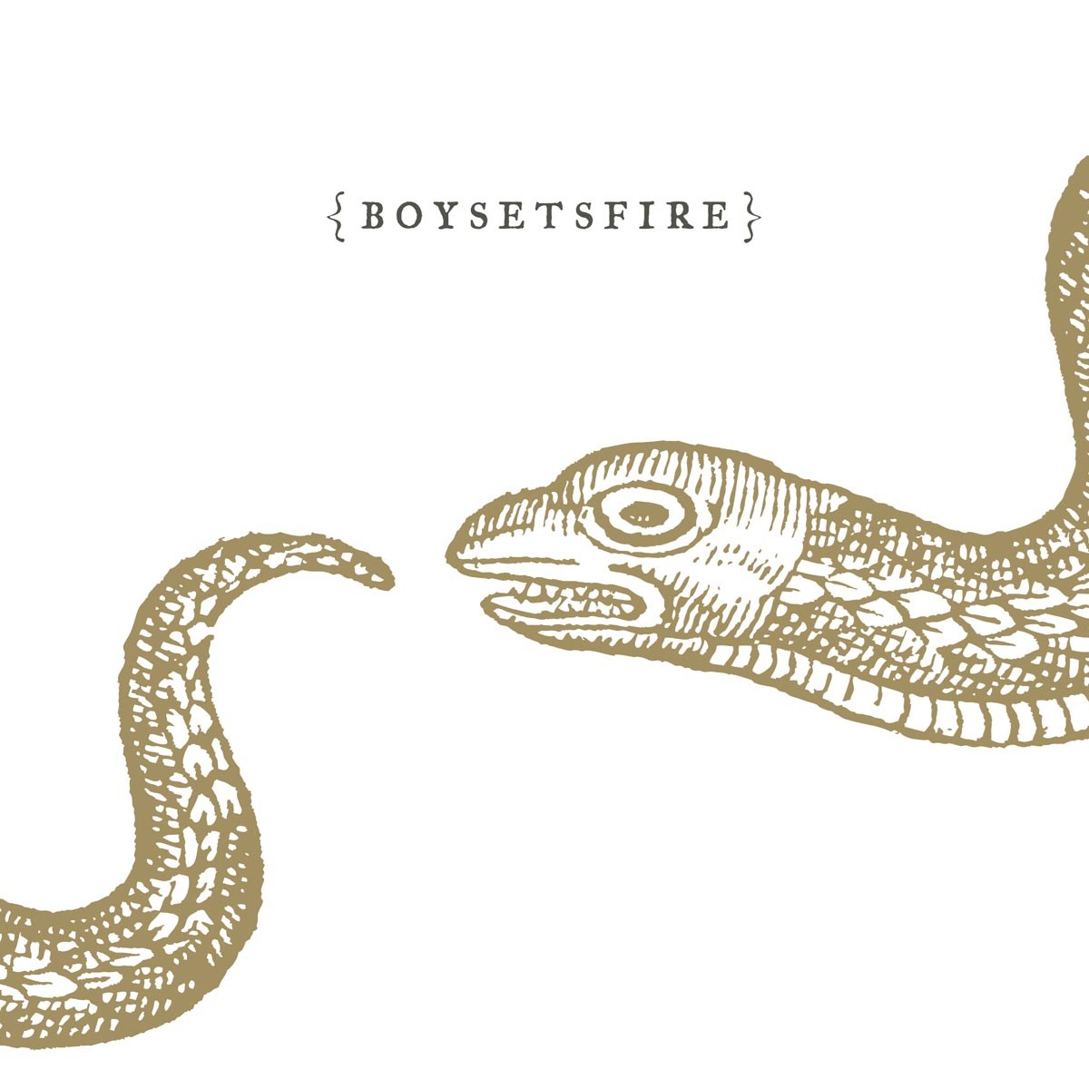 Afbeelding van Boysetsfire - Boysetsfire