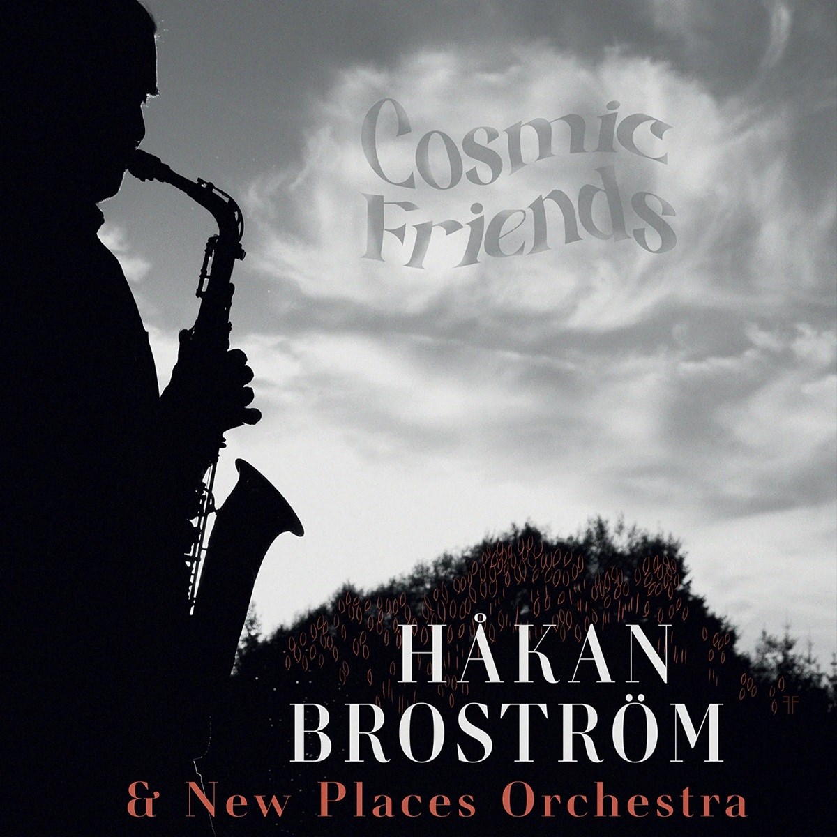 Afbeelding van Håkan Broström & New Places Orchestra - Cosmic Friends