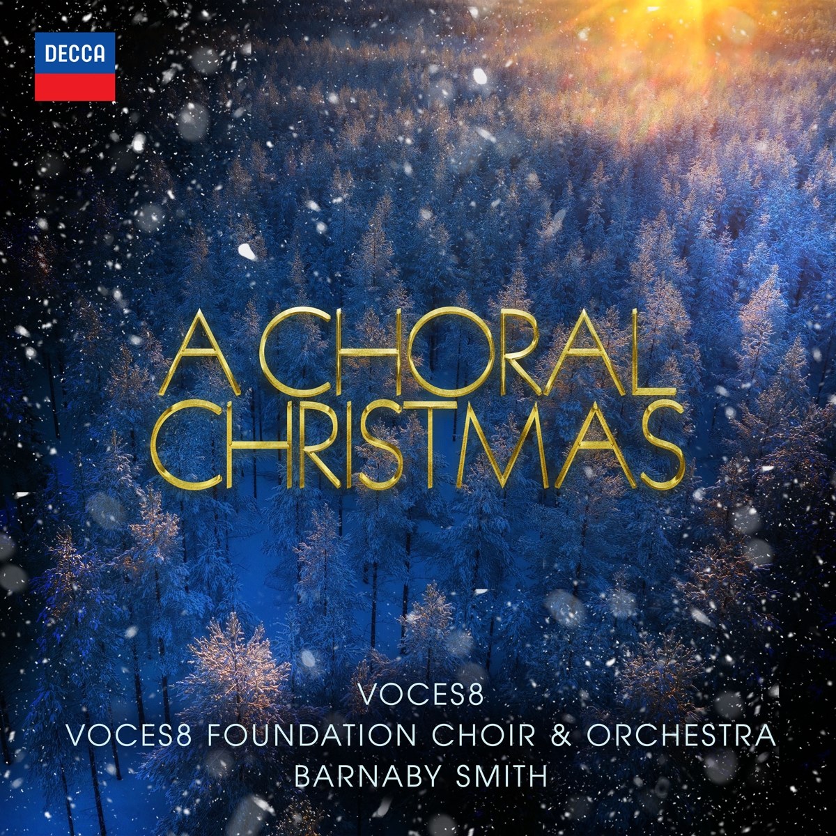 Afbeelding van Voces8, Voces8 Foundation Choir, Voces8 Foundation Orchestra, Barnaby Smith - A Choral Christmas