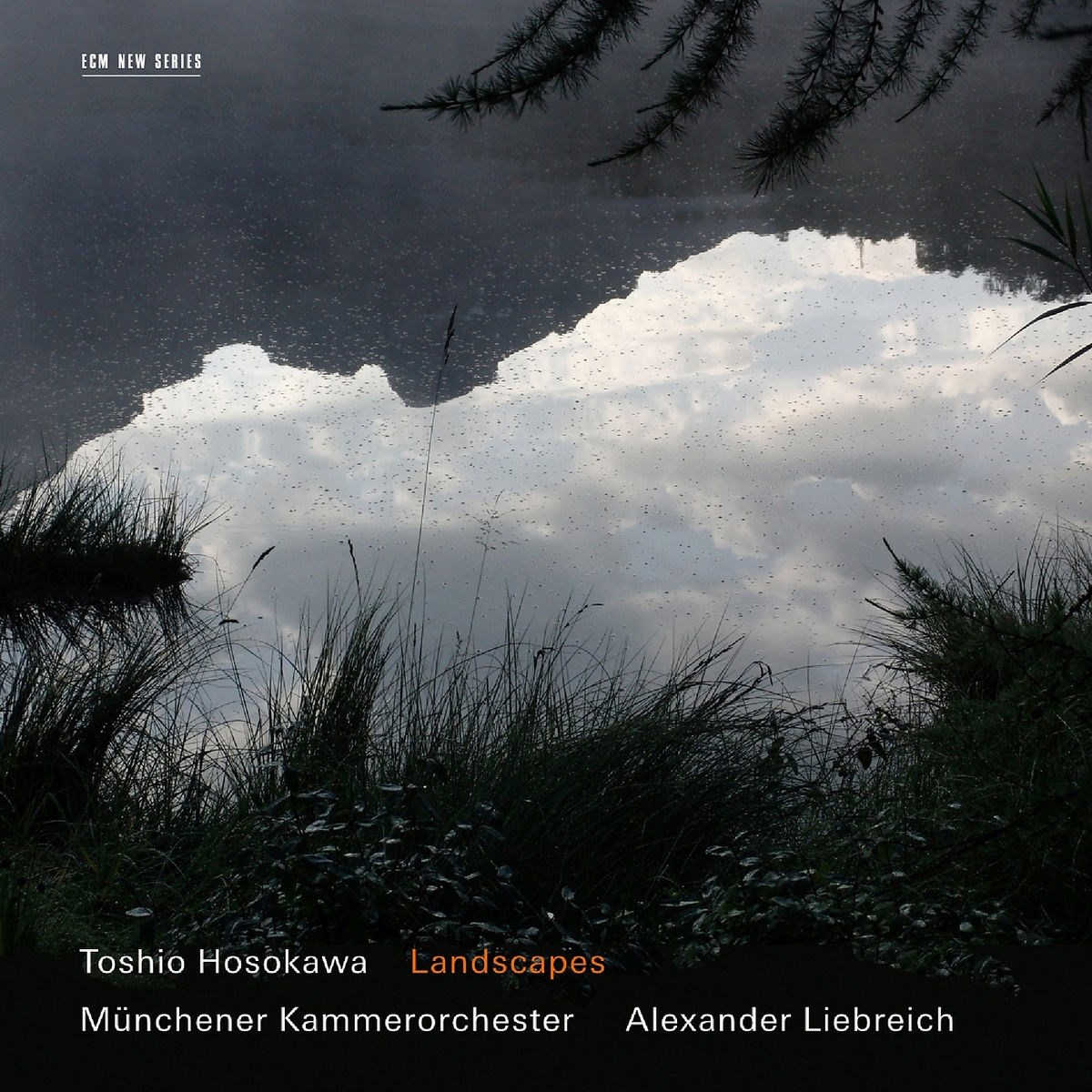 Afbeelding van Toshio Hosokawa, Münchener Kammerorchester, Alexander Liebreich - Landscapes