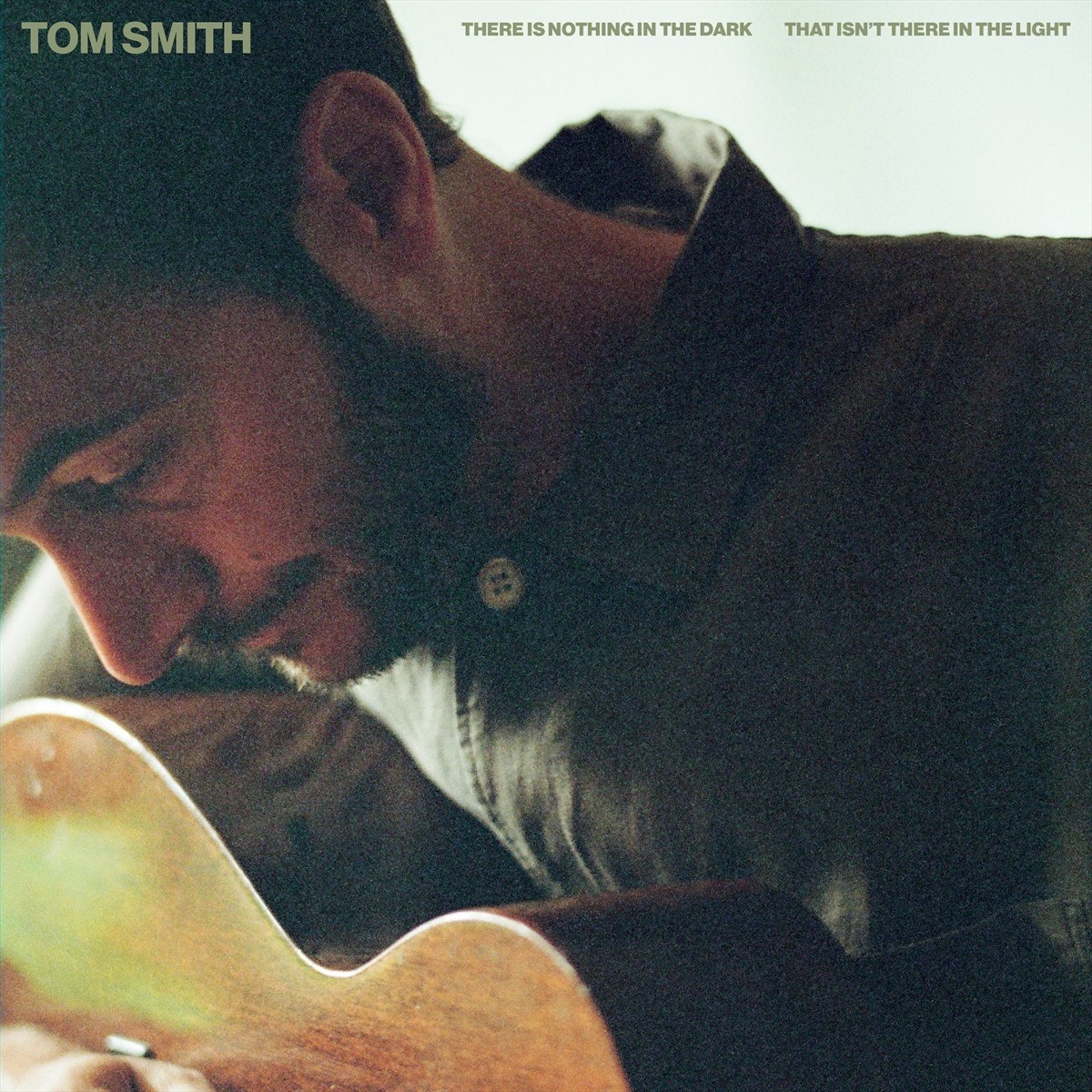 Afbeelding van Tom Smith - There Is Nothing In The Dark That Isn't There In The Light