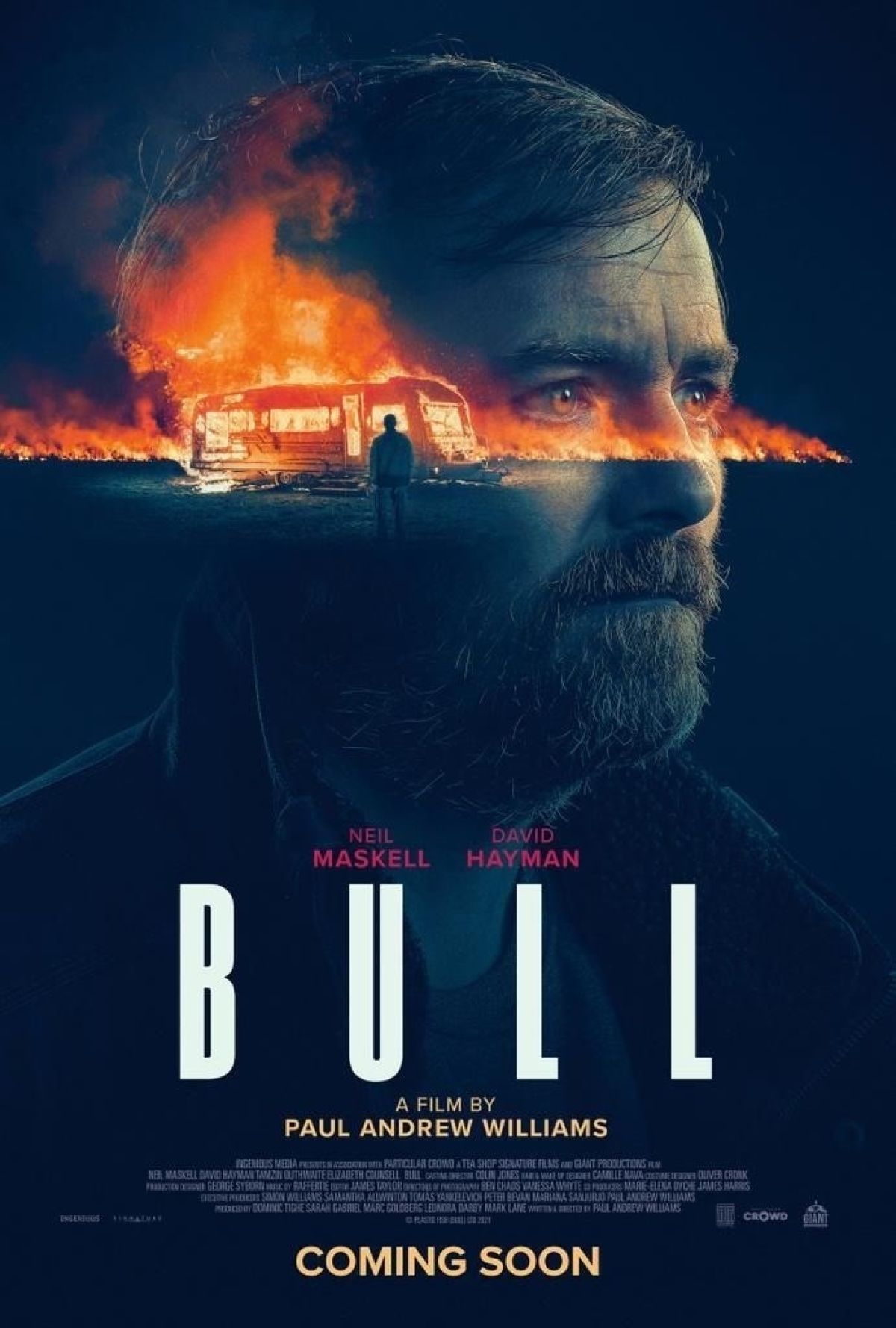 Afbeelding van Bull