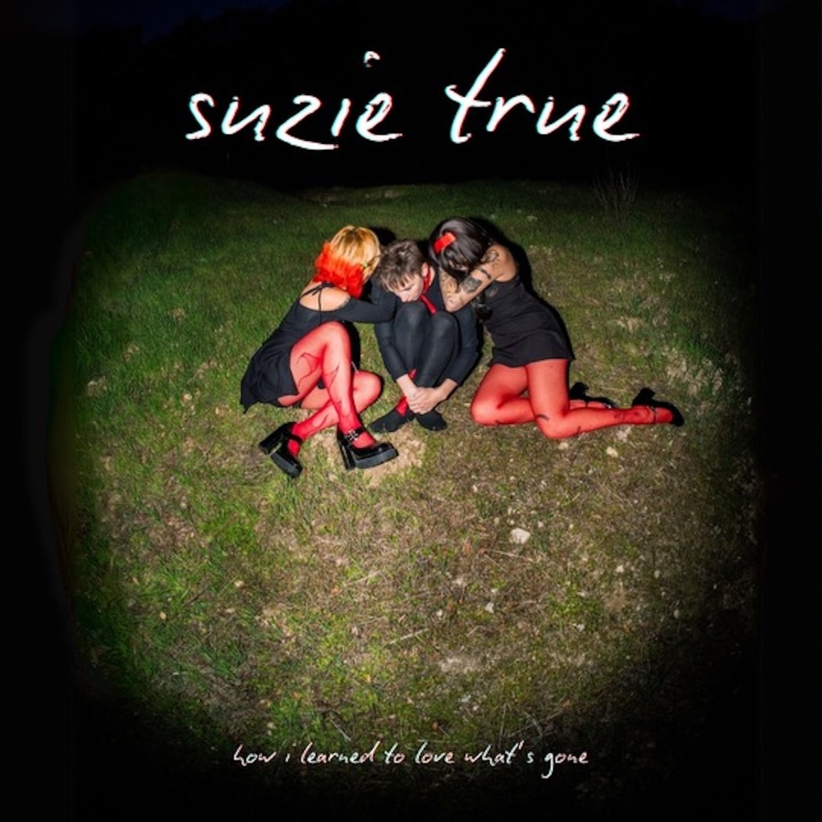 Afbeelding van Suzie True - How I Learned To Love What's Gone