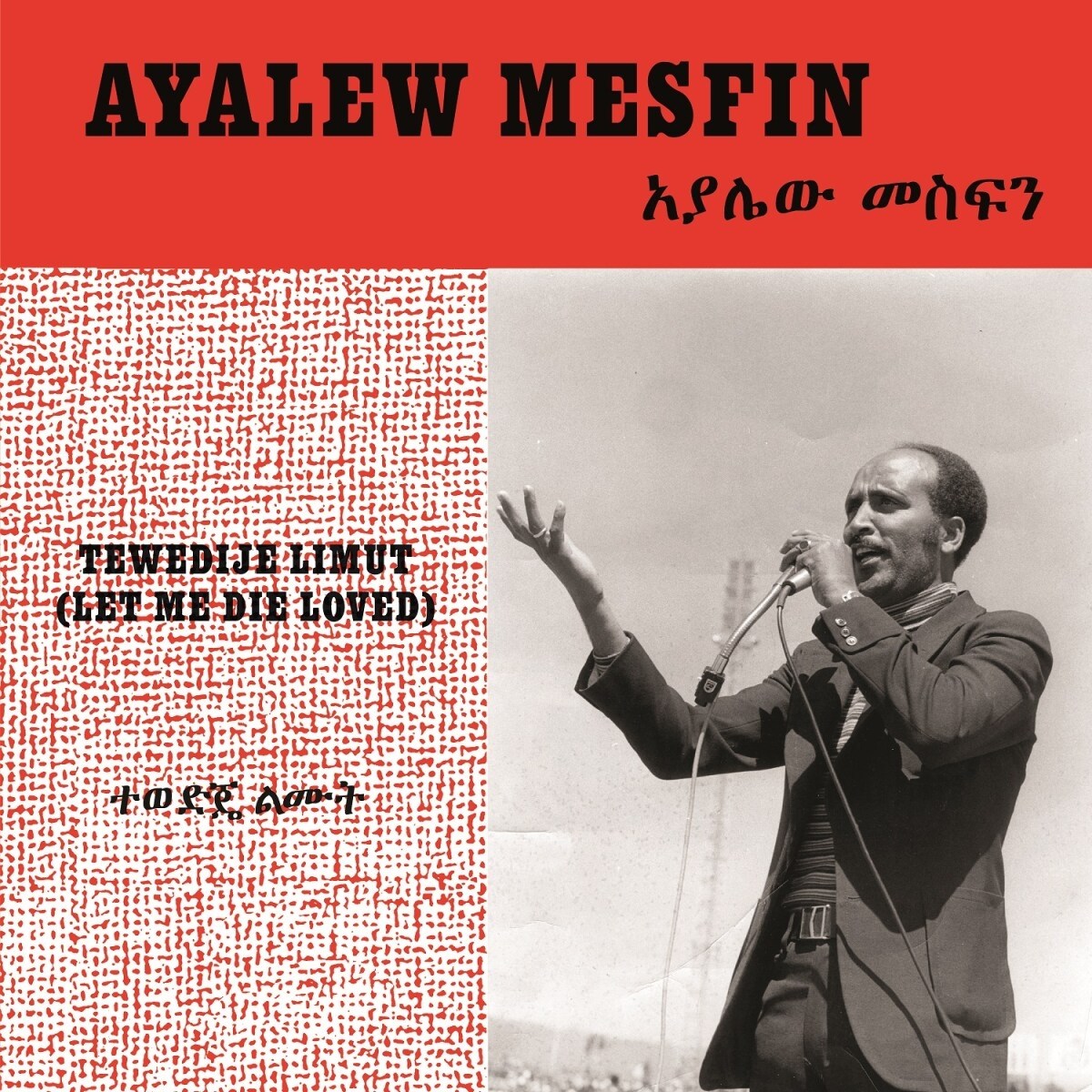 Afbeelding van Ayalew Mesfin - Tewedije Limut (Let Me Die Loved)