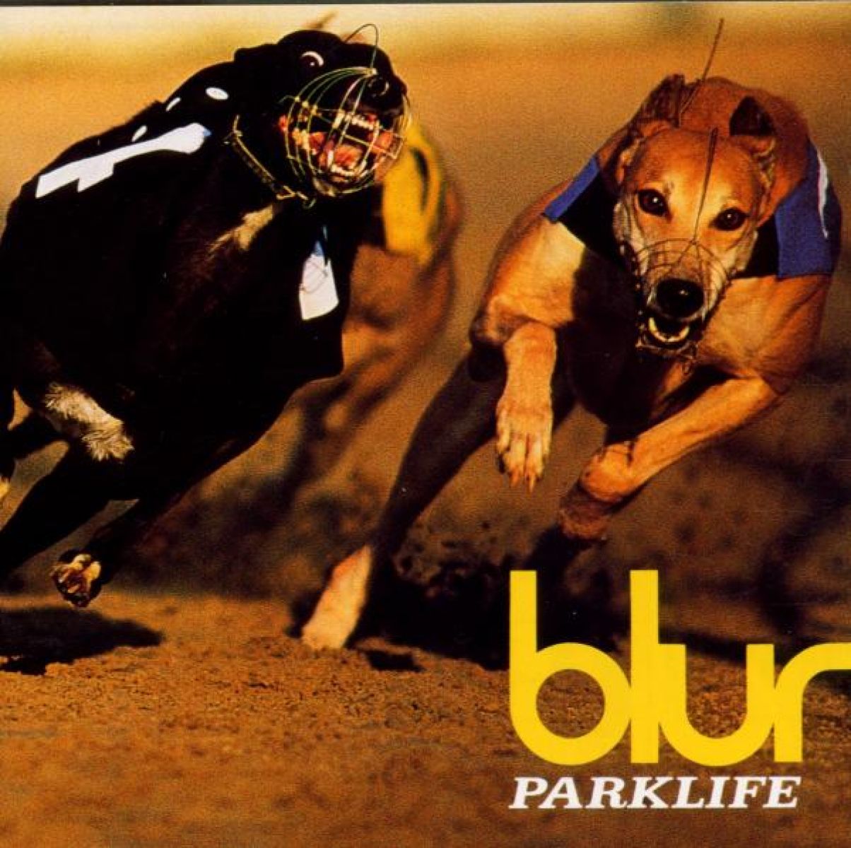 Afbeelding van Blur - Park Life