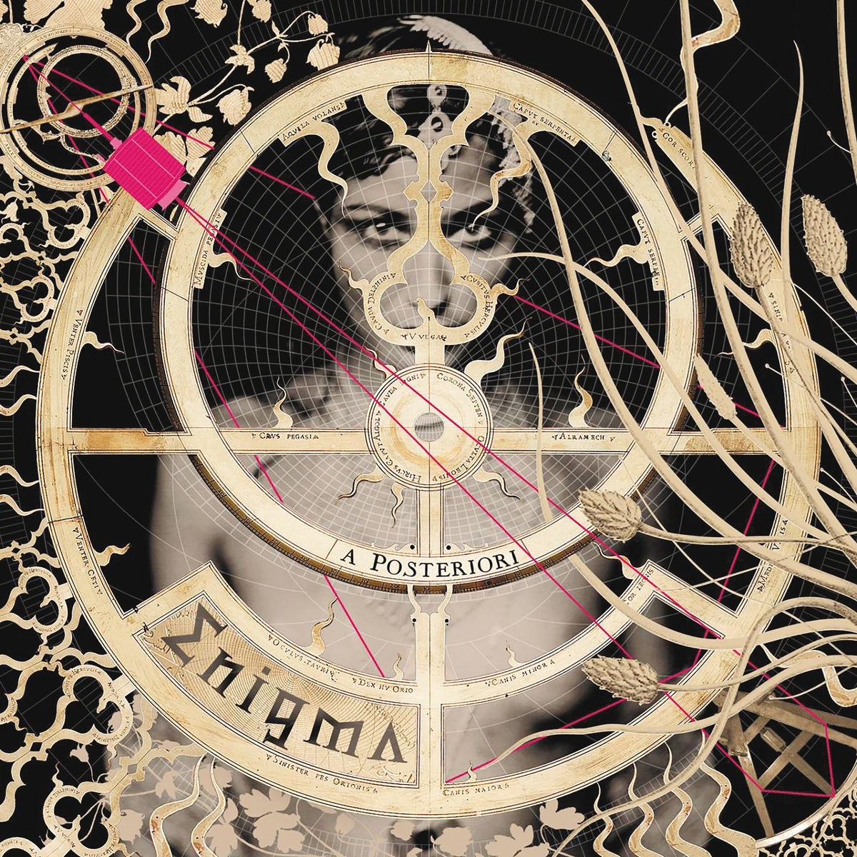 Afbeelding van Enigma - A Posteriori