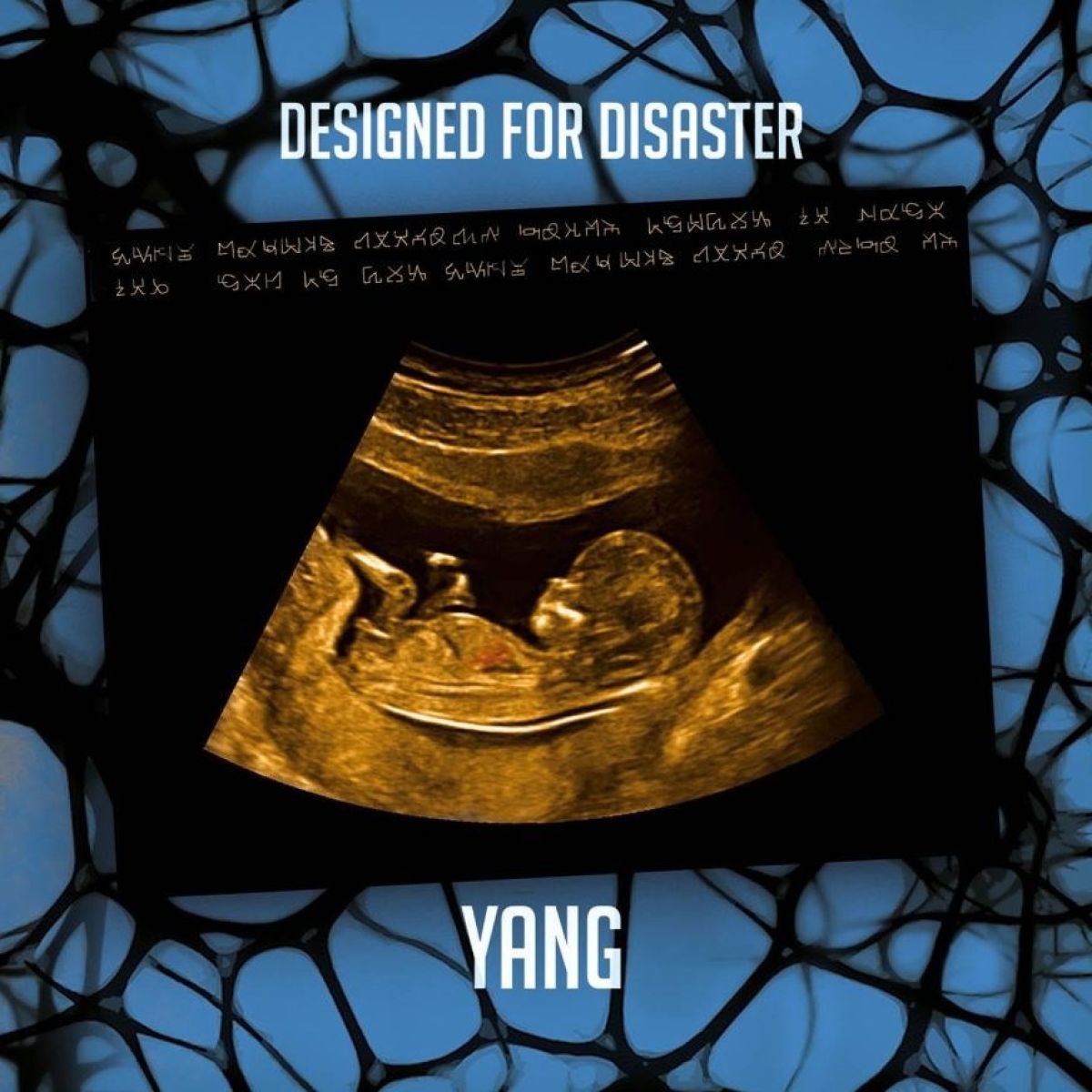 Afbeelding van Yang - Designed For Disaster