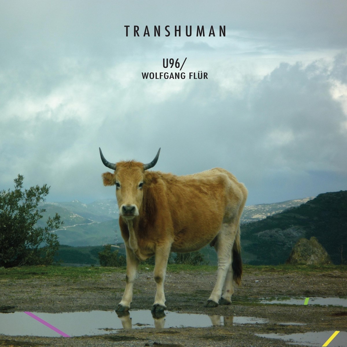 Afbeelding van U96, Wolfgang Flür - Transhuman
