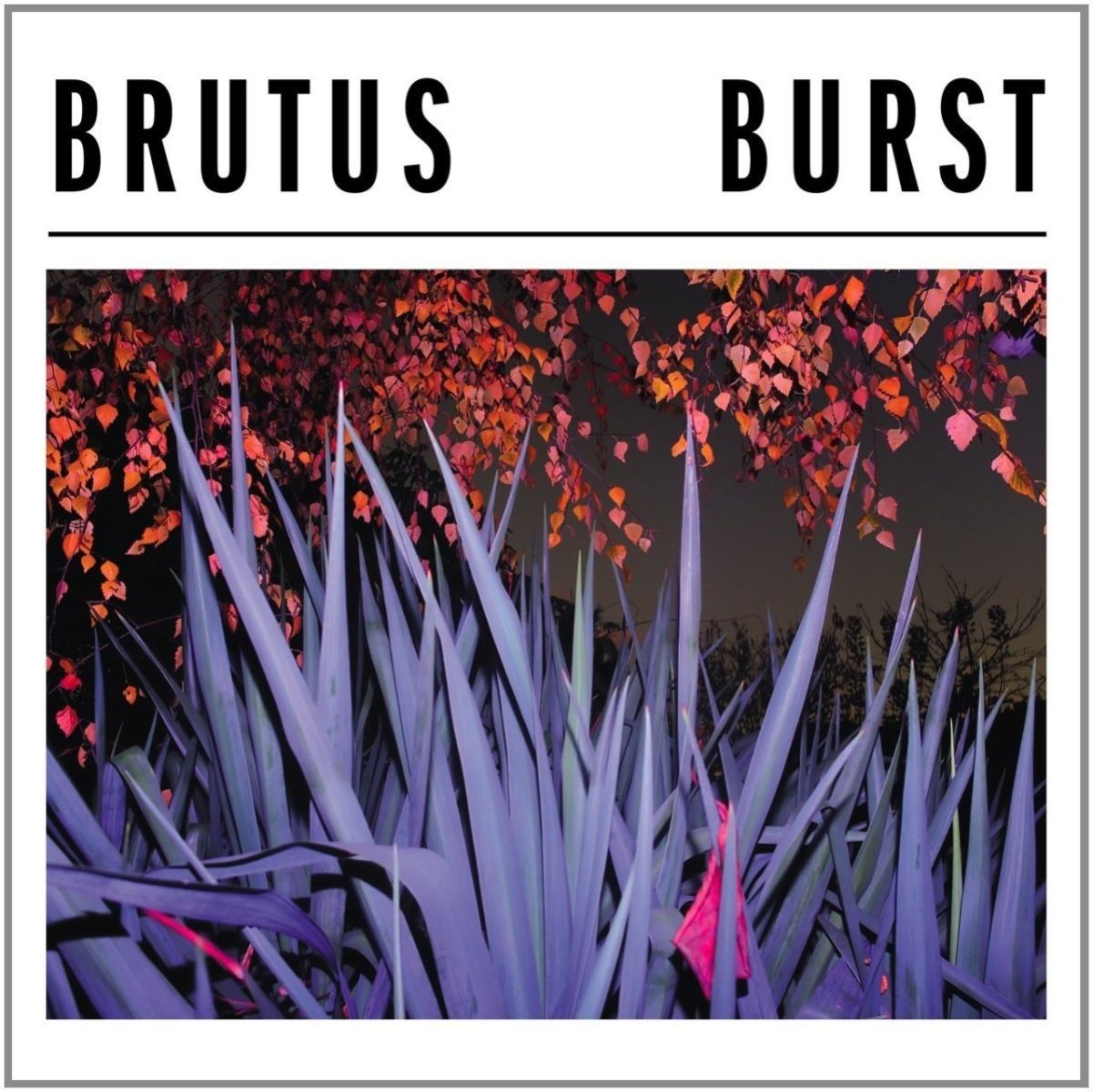 Afbeelding van Brutus - Burst