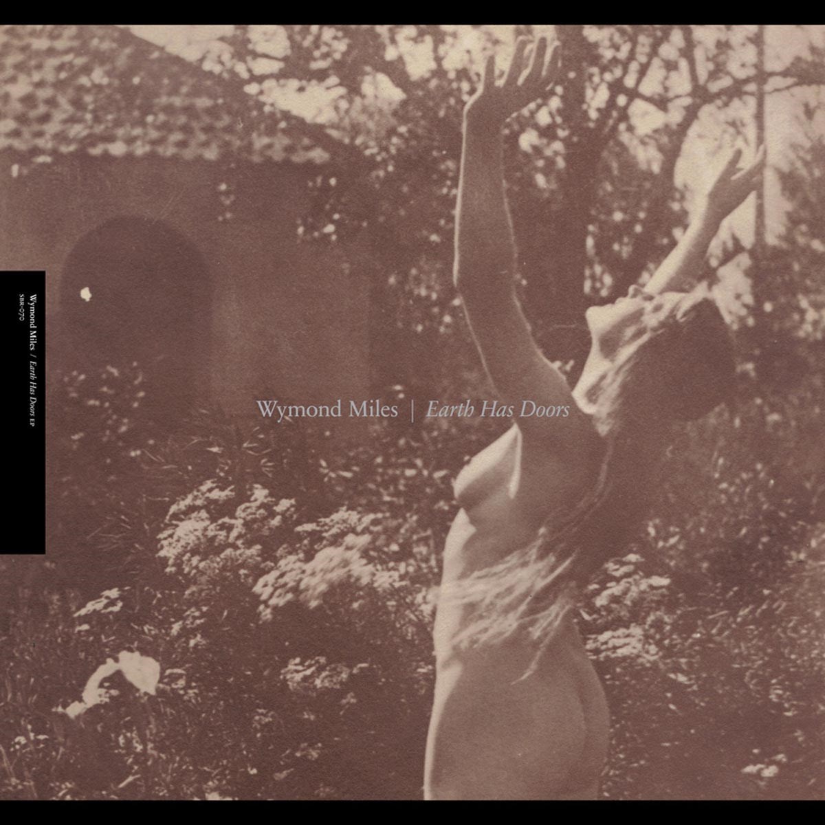 Afbeelding van Wymond Miles - Earth Has Doors