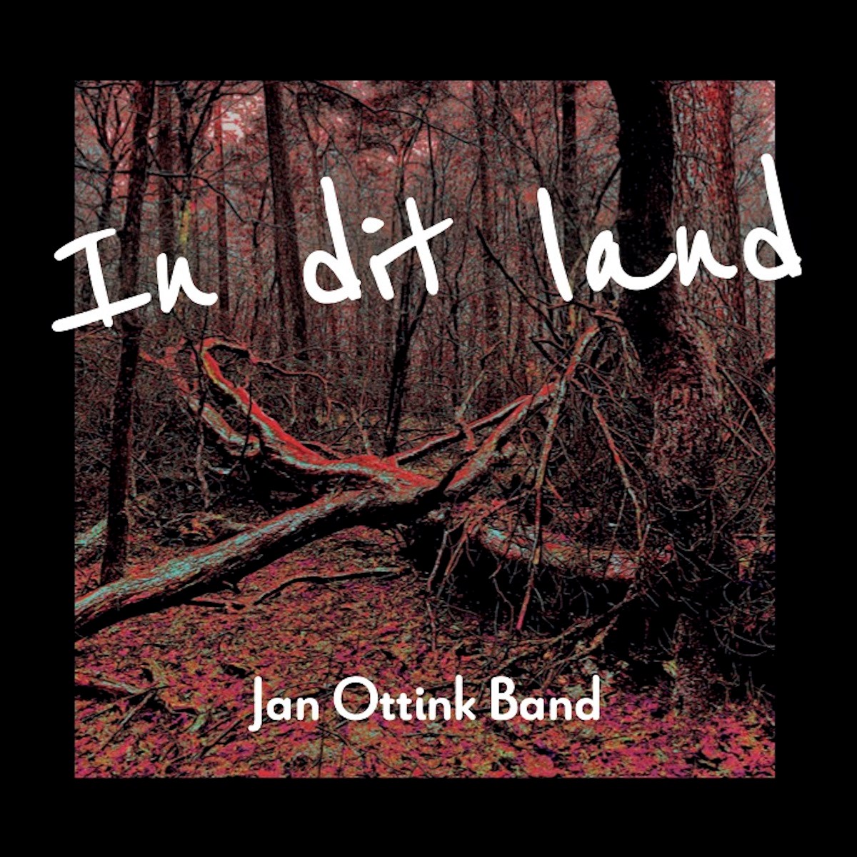 Jan Ottink Band - In Dit Land