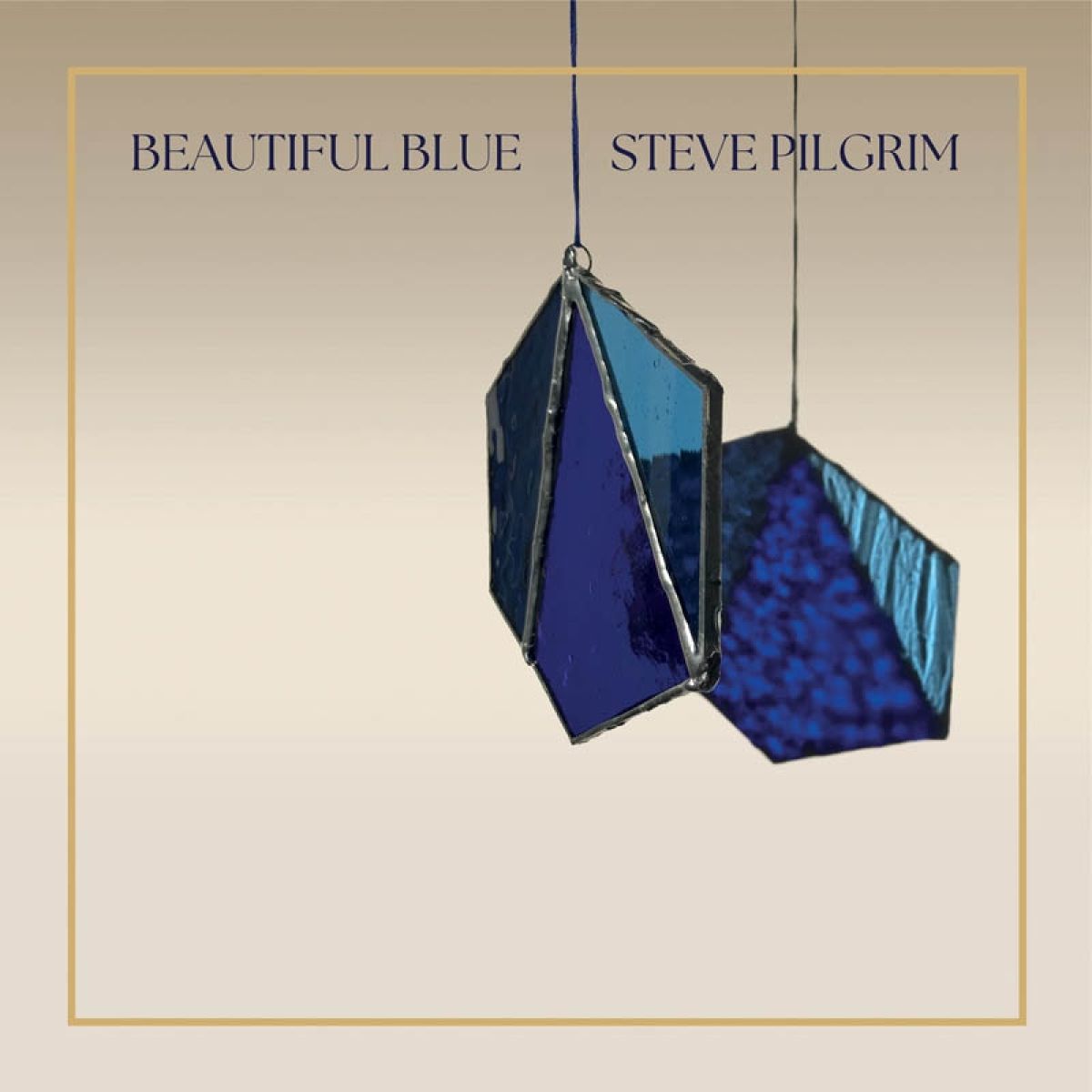 Afbeelding van Steve Pilgrim - Beatiful Blue