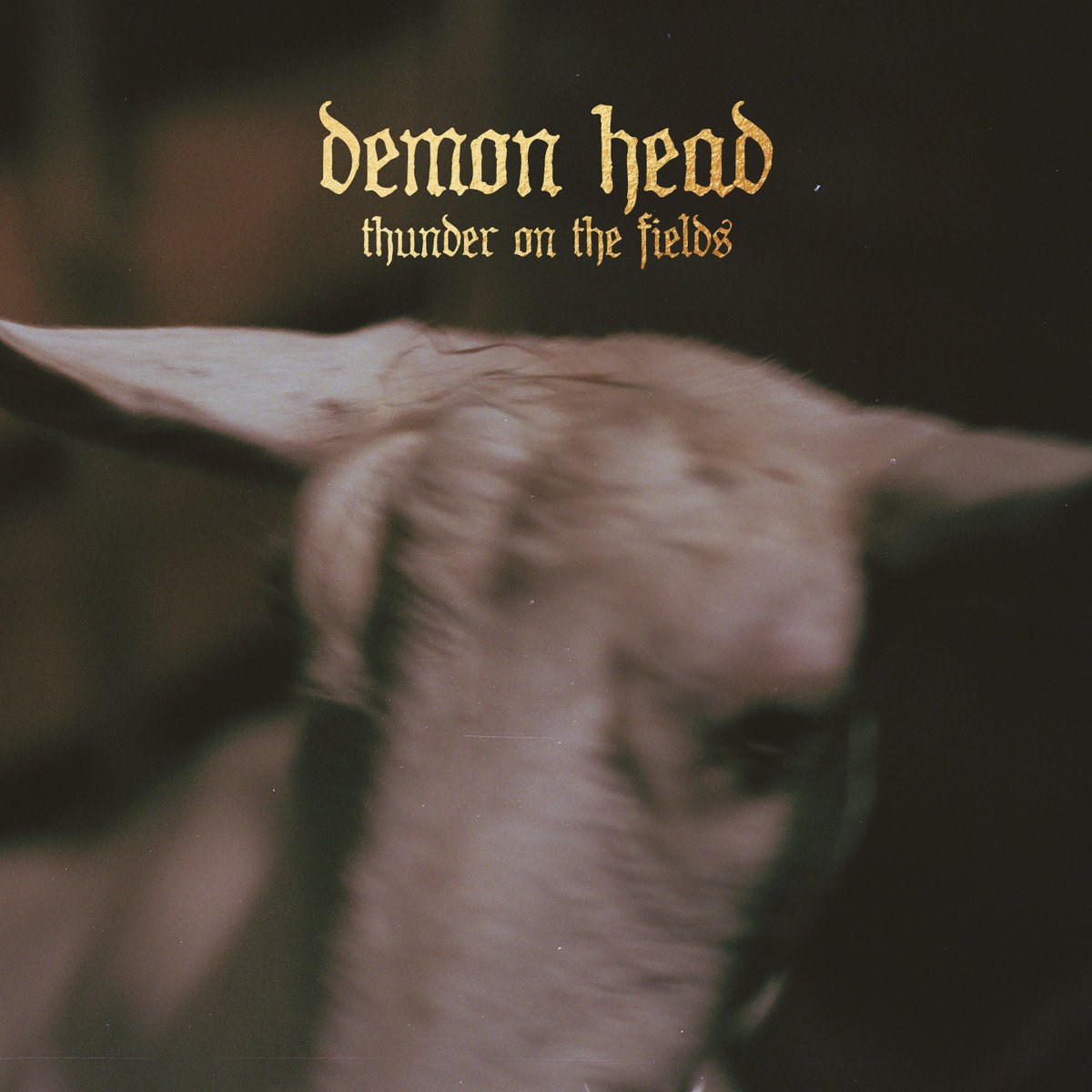 Afbeelding van Demon Head - Thunder On The Fields