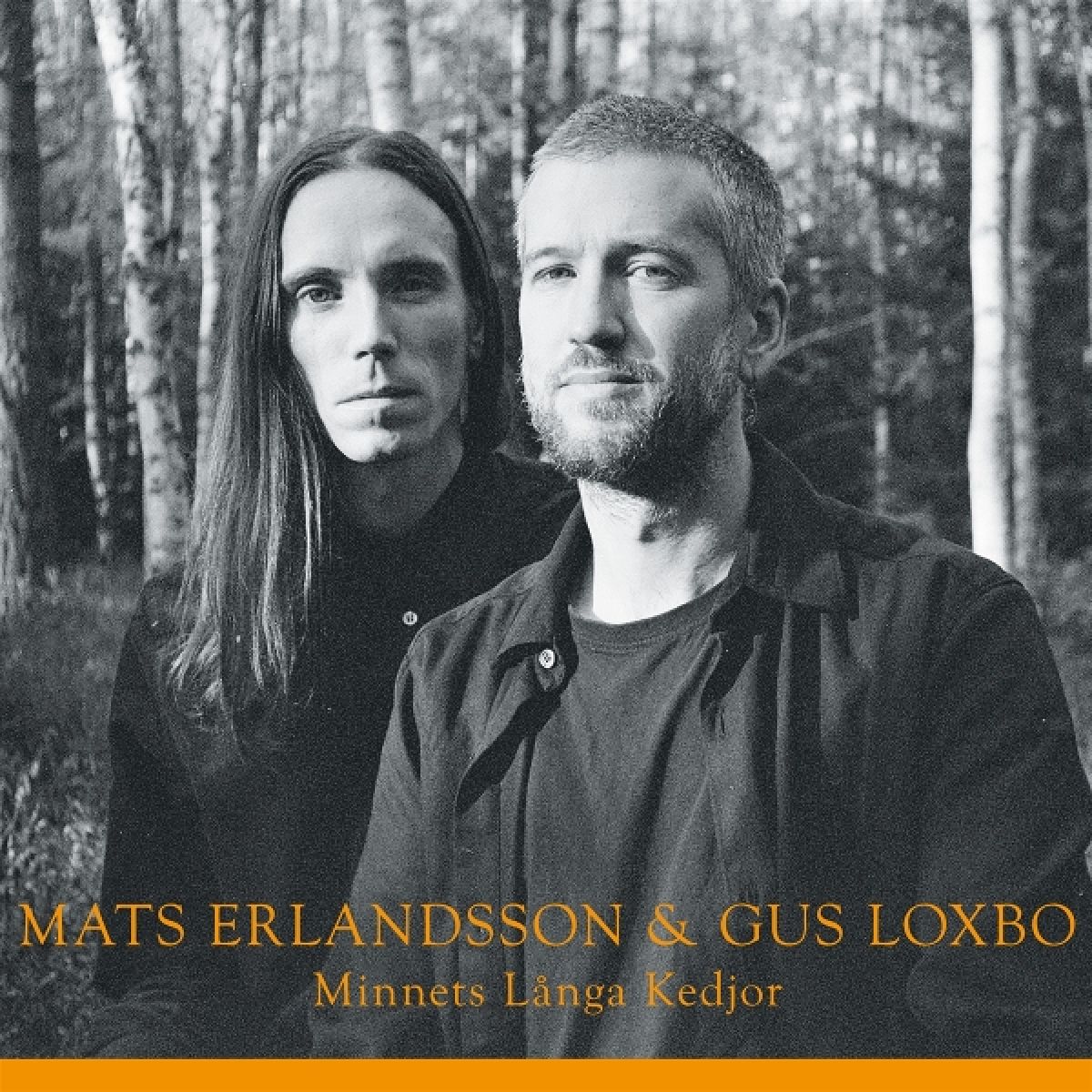 Mats Erlandsson & Gus Luxbo - Minnets Langa Kedjor