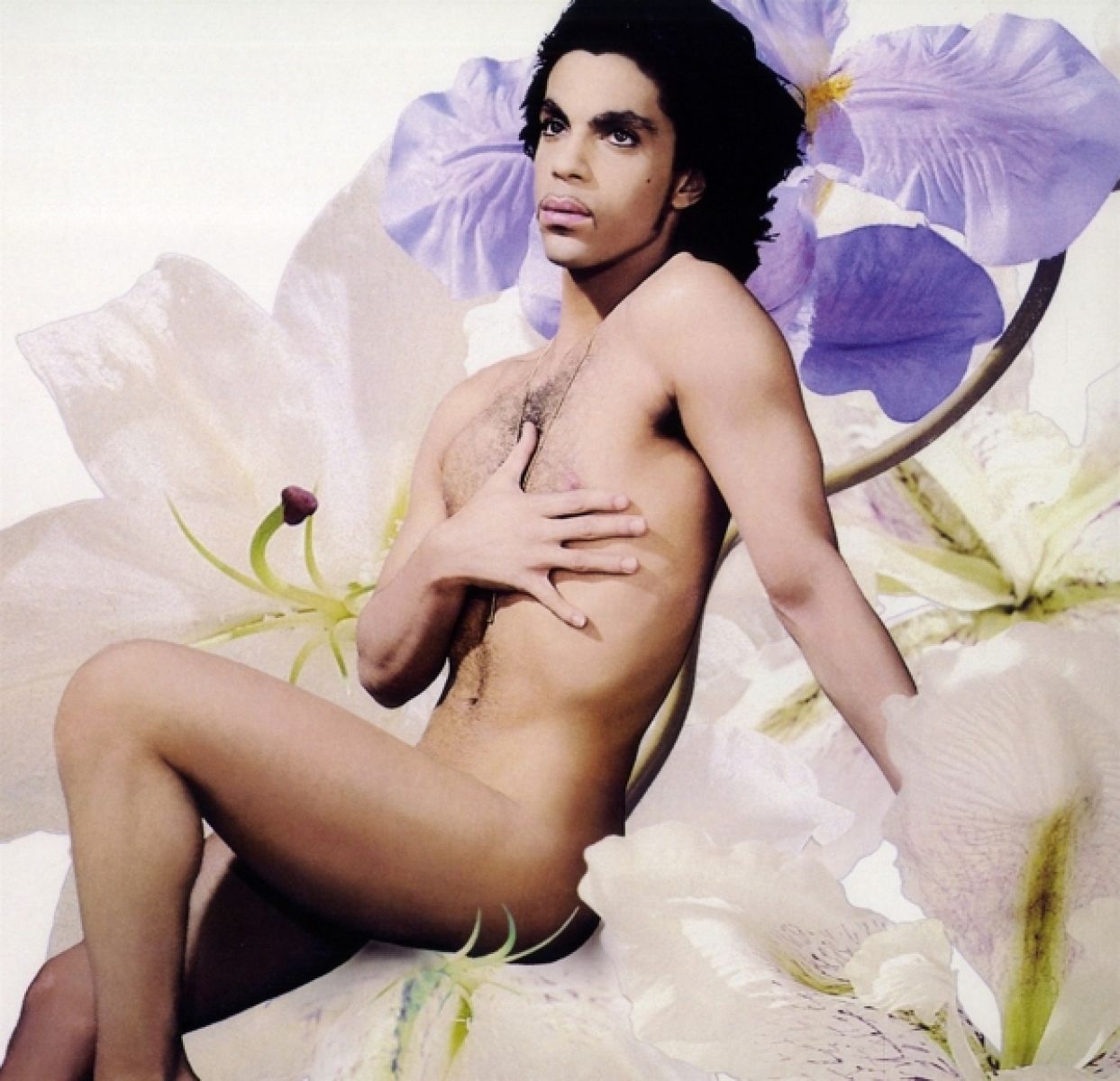 Afbeelding van Prince - Lovesexy