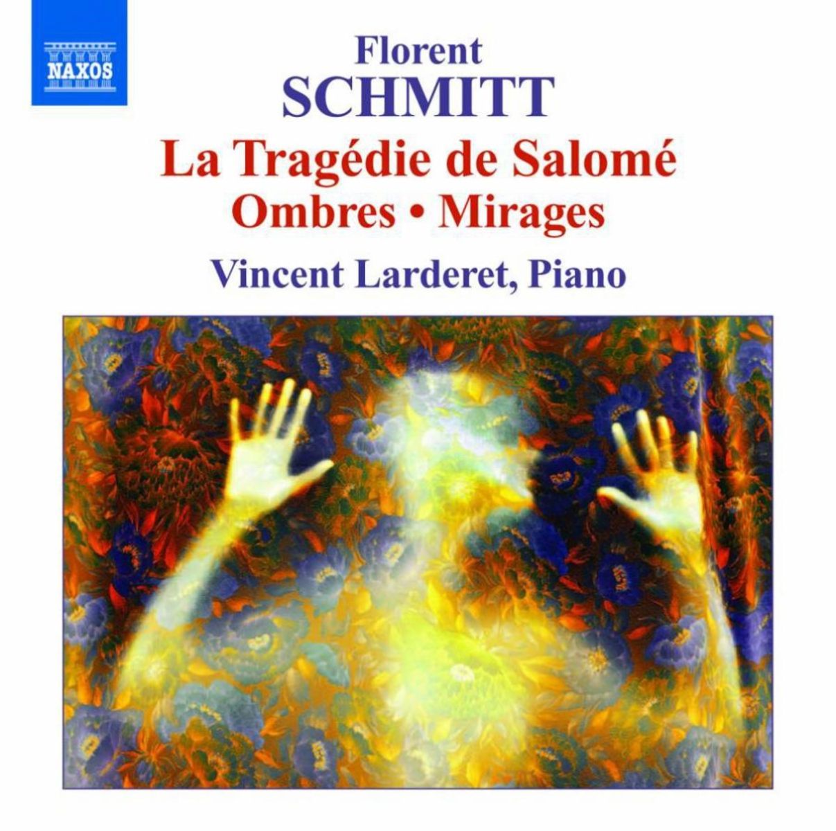 Vincent Lardelet - Schmitt: Ombres