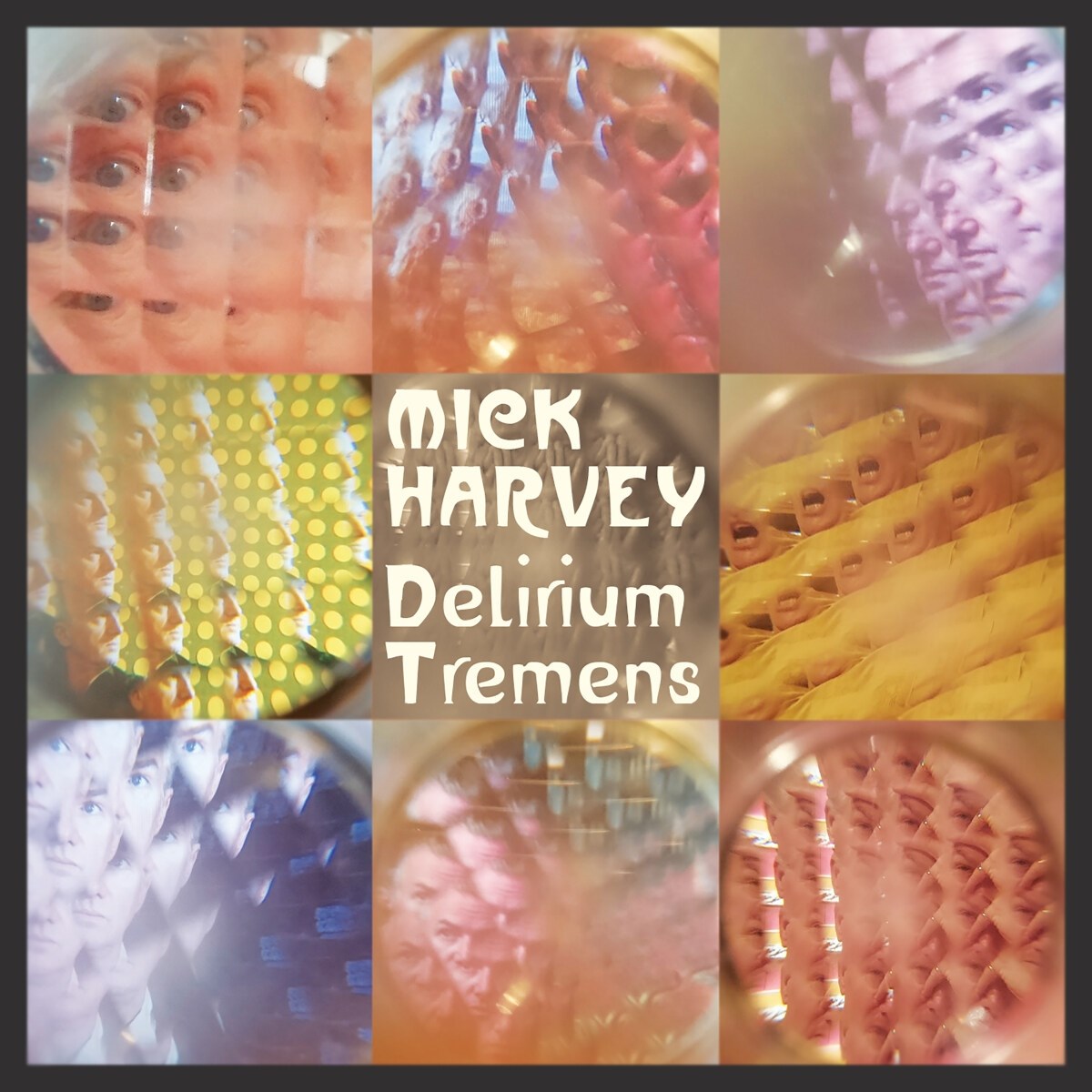 Afbeelding van Mick Harvey - Delirium Tremens