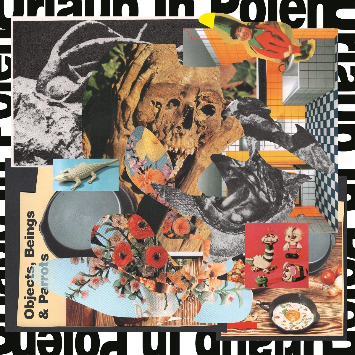 Afbeelding van Urlaub In Polen - Objects, Beings & Parrots