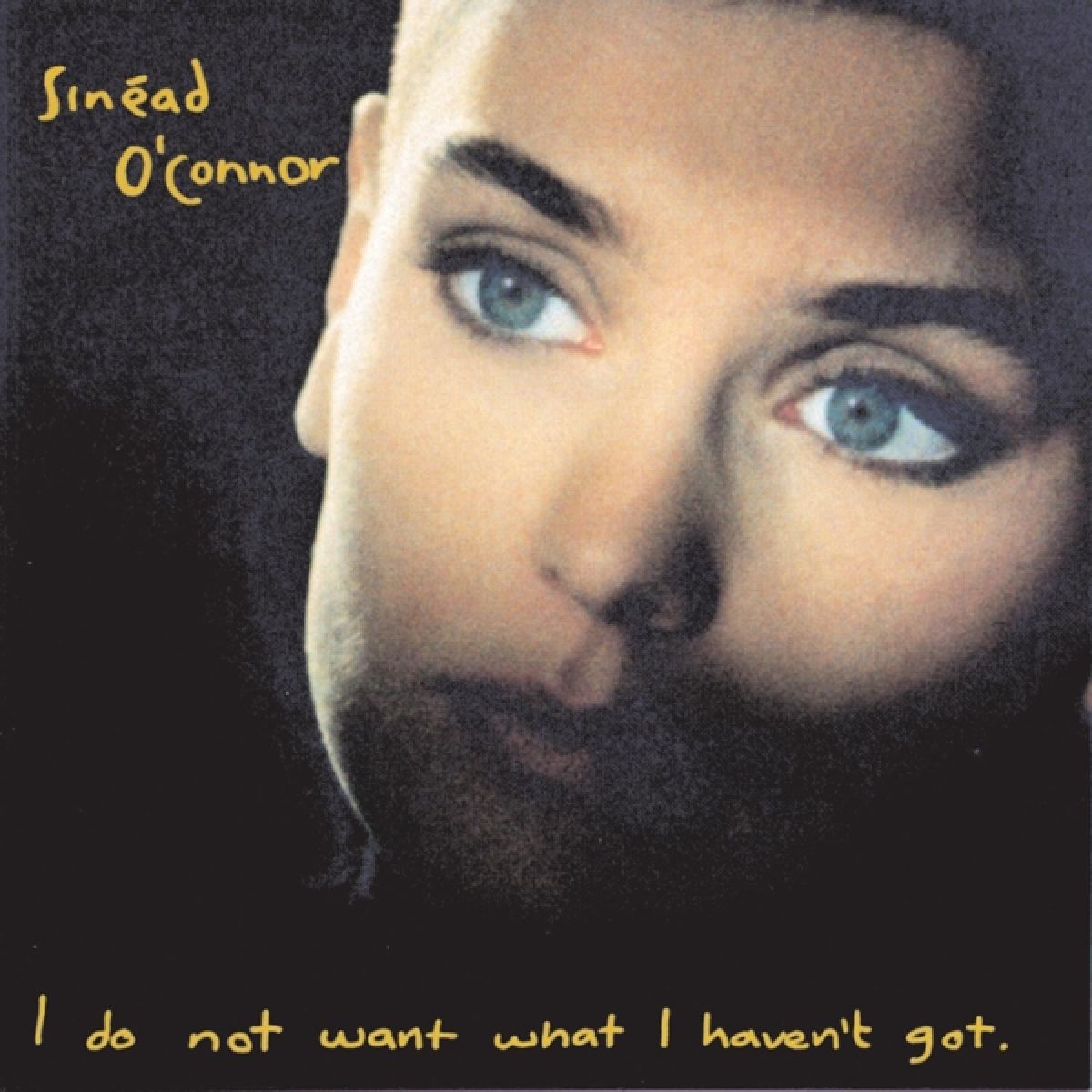 Afbeelding van I Do Not Want What I Haven't Got