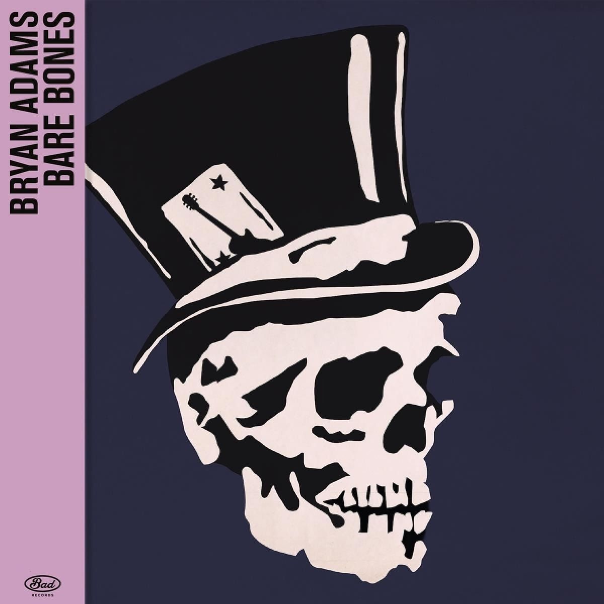 Afbeelding van Bryan Adams - Bare Bones