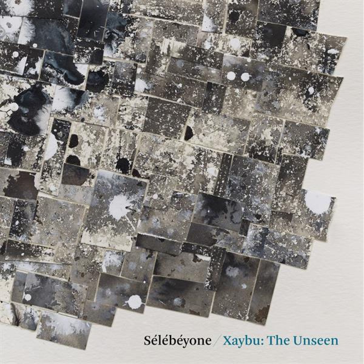 Afbeelding van Steve Lehman & Sélébéyone - Xaybu: The Unseen