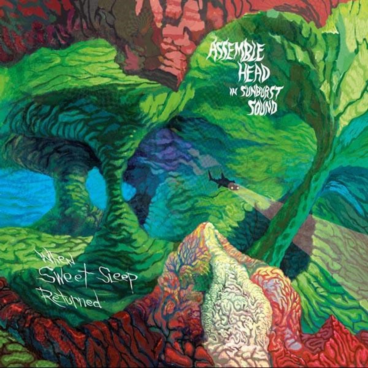 Afbeelding van Assemble Head In Sunburst Sound - When Sweet Sleep Returned