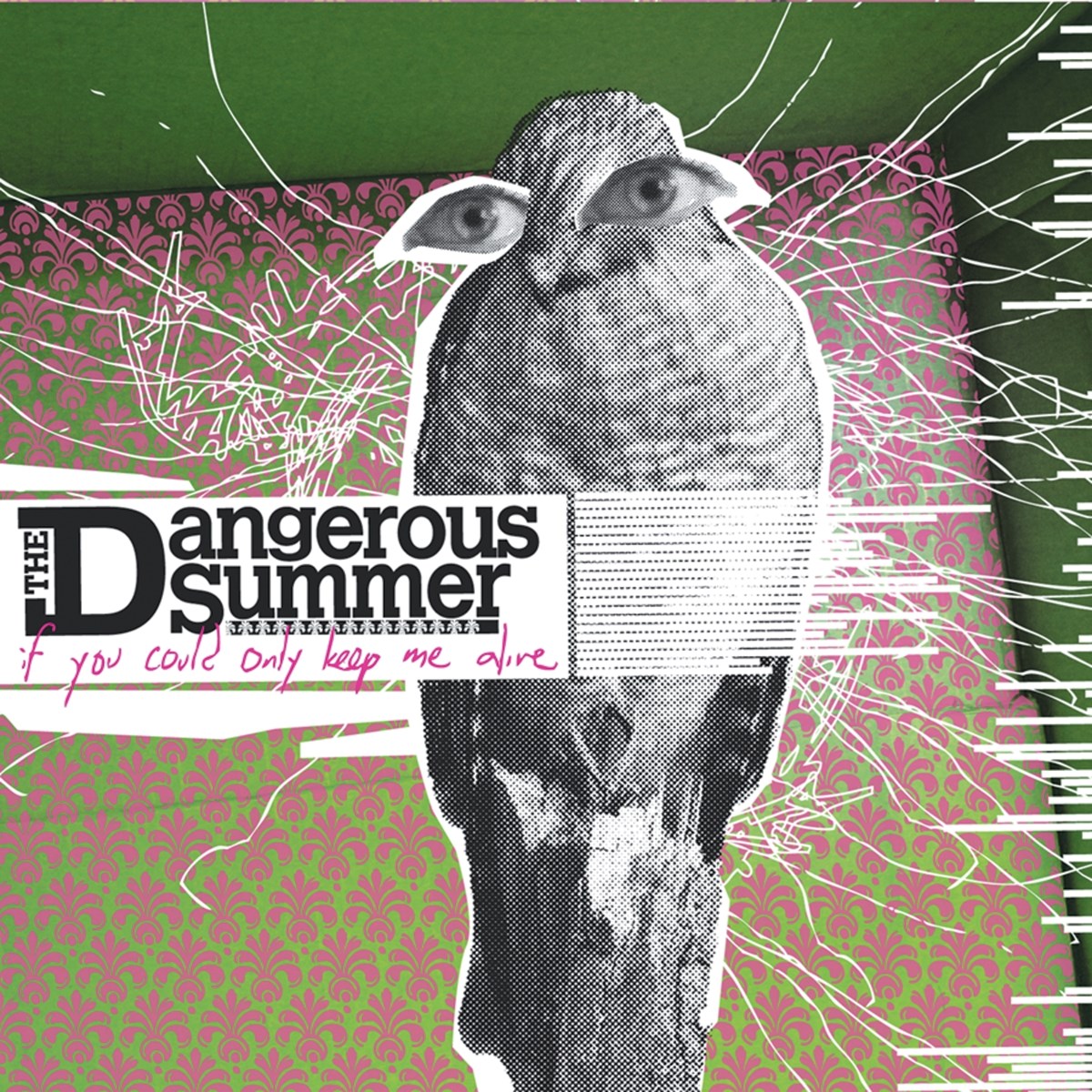 Afbeelding van The Dangerous Summer - If You Could Only Keep Me Alive