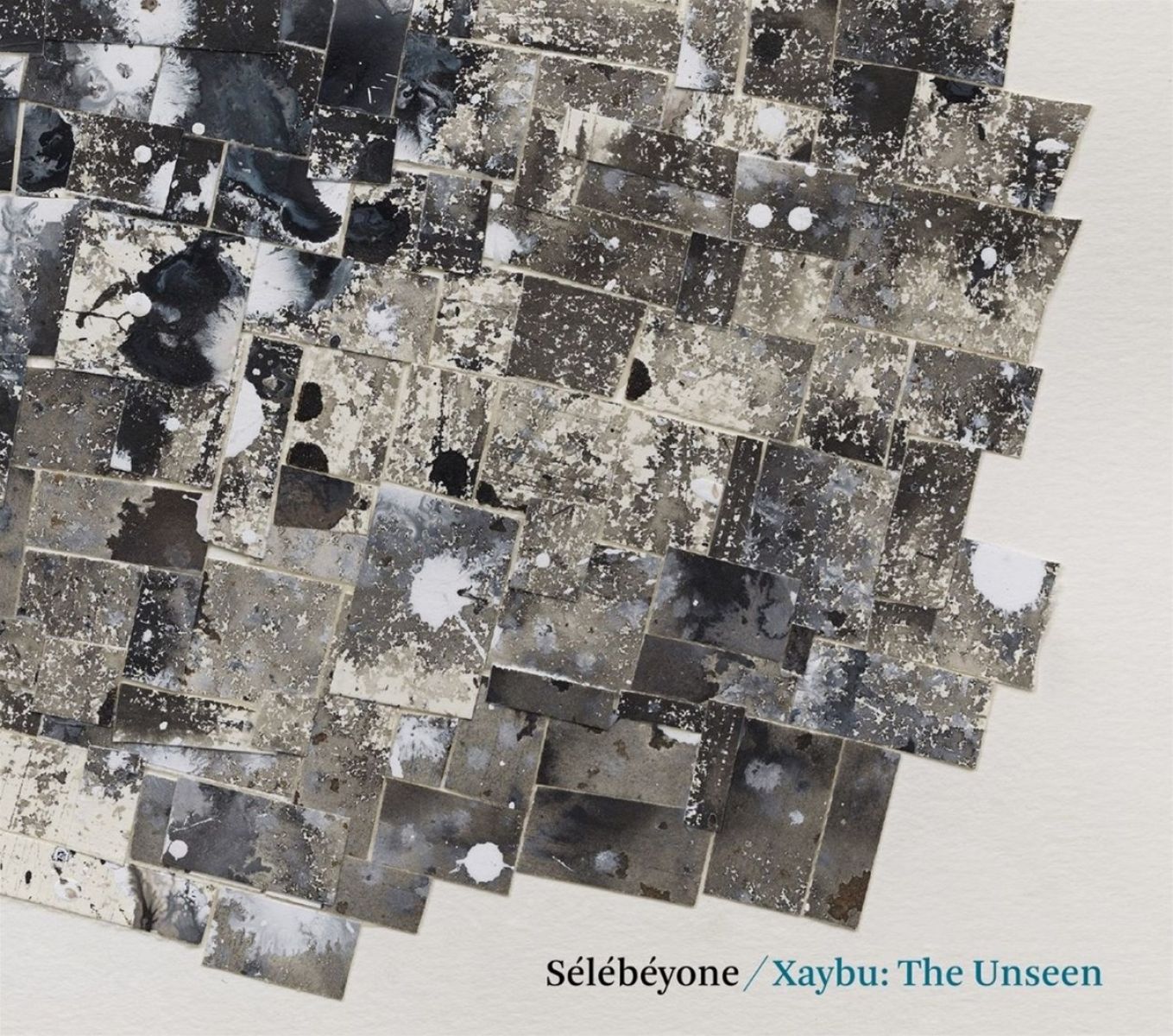 Afbeelding van Steve Lehman & Sélébéyone - Xaybu: The Unseen
